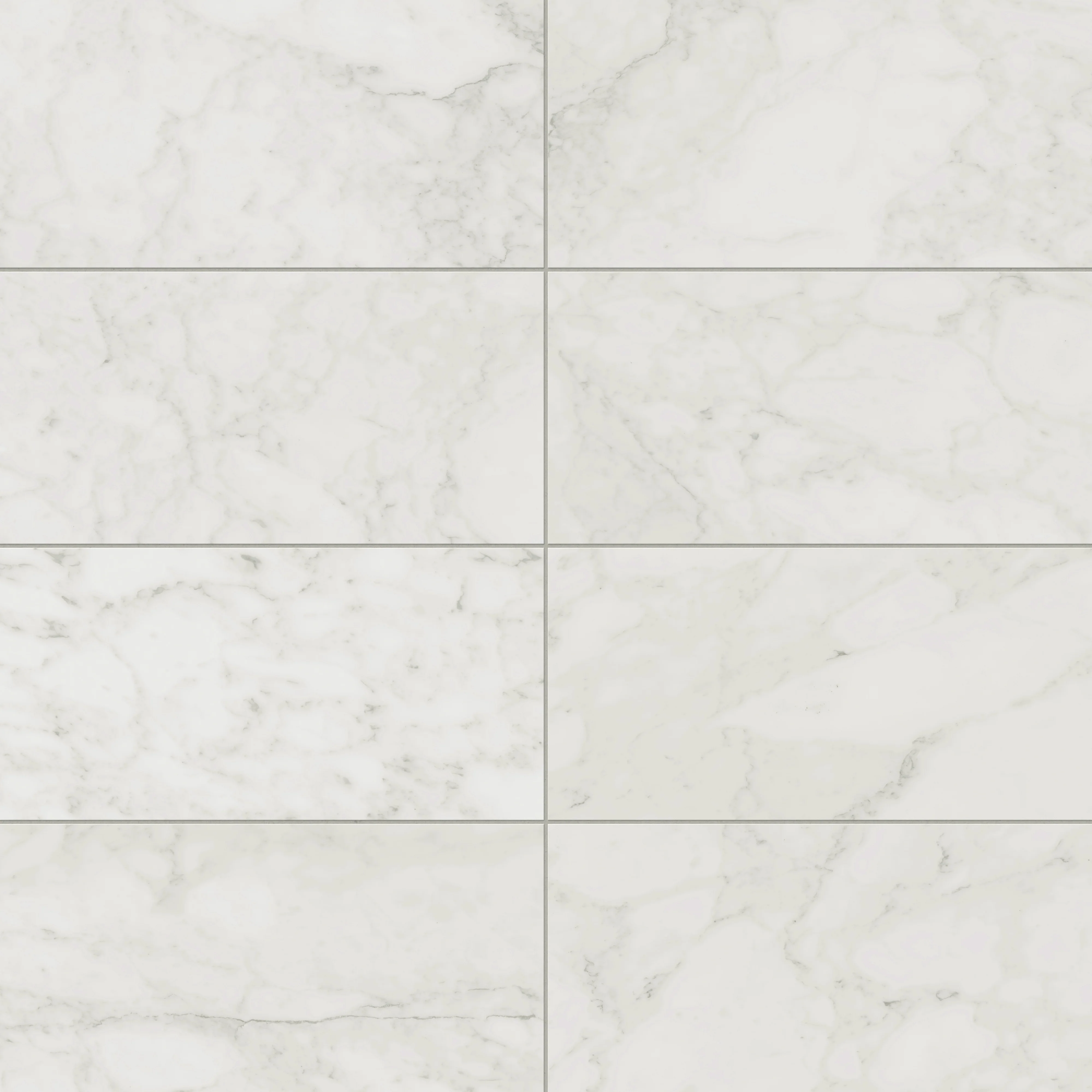 Aniston 12 x 24 Matte Porcelain Tile in Carrara Bianco