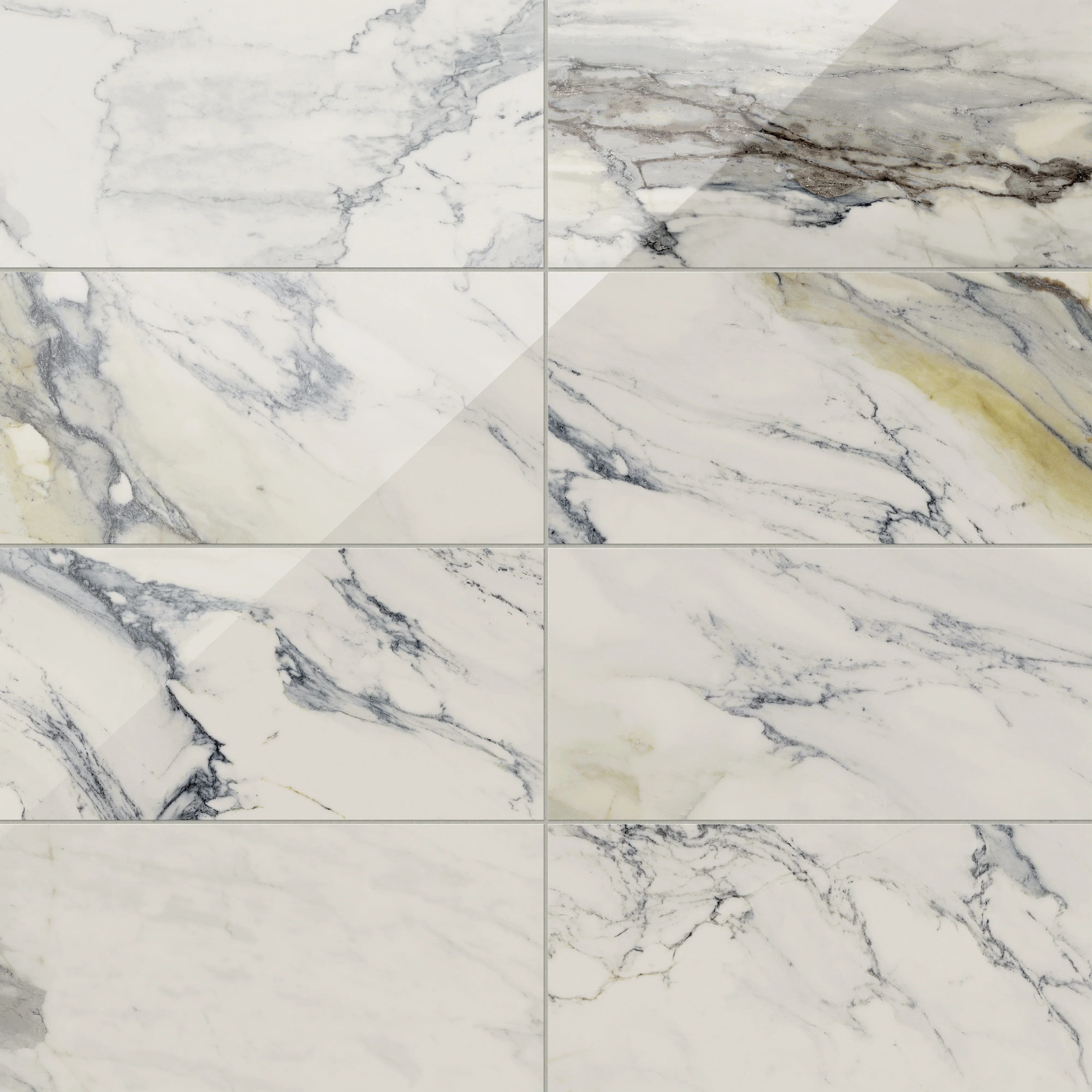 Aniston 12 x 24 Polished Porcelain Tile in Calacatta Antico