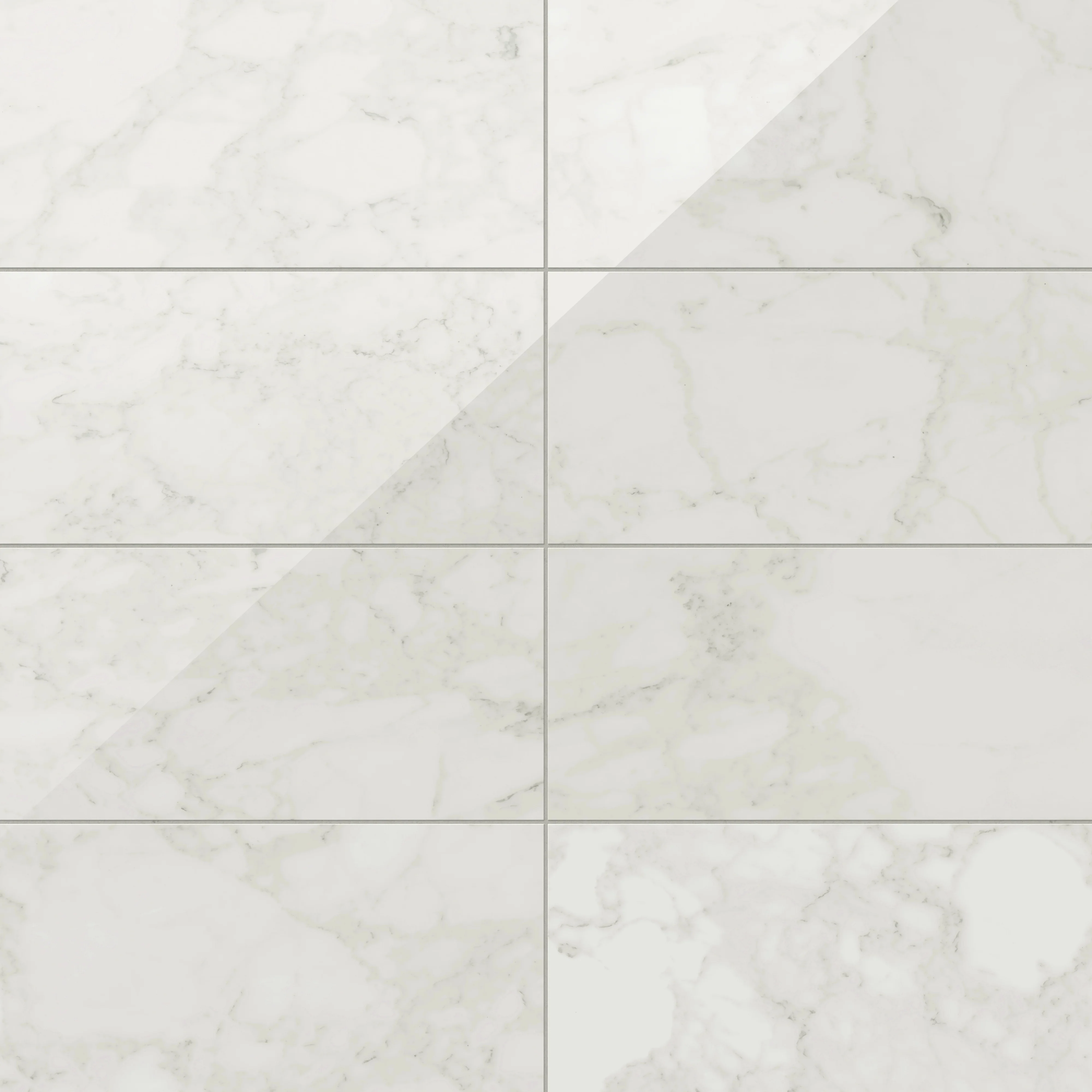 Aniston 12 x 24 Polished Porcelain Tile in Carrara Bianco