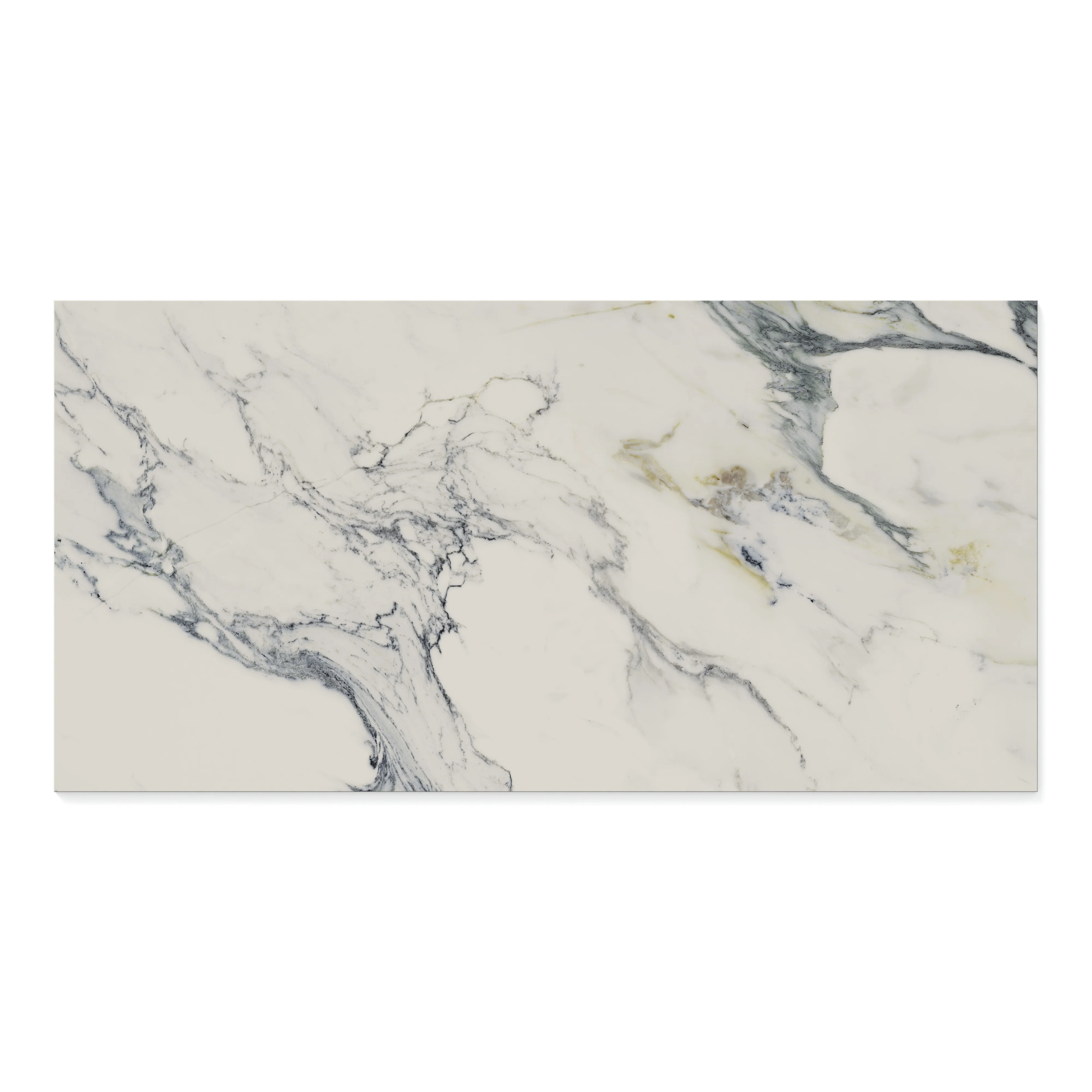 Aniston 24 x 48 Polished Porcelain Tile in Calacatta Antico - Image 3