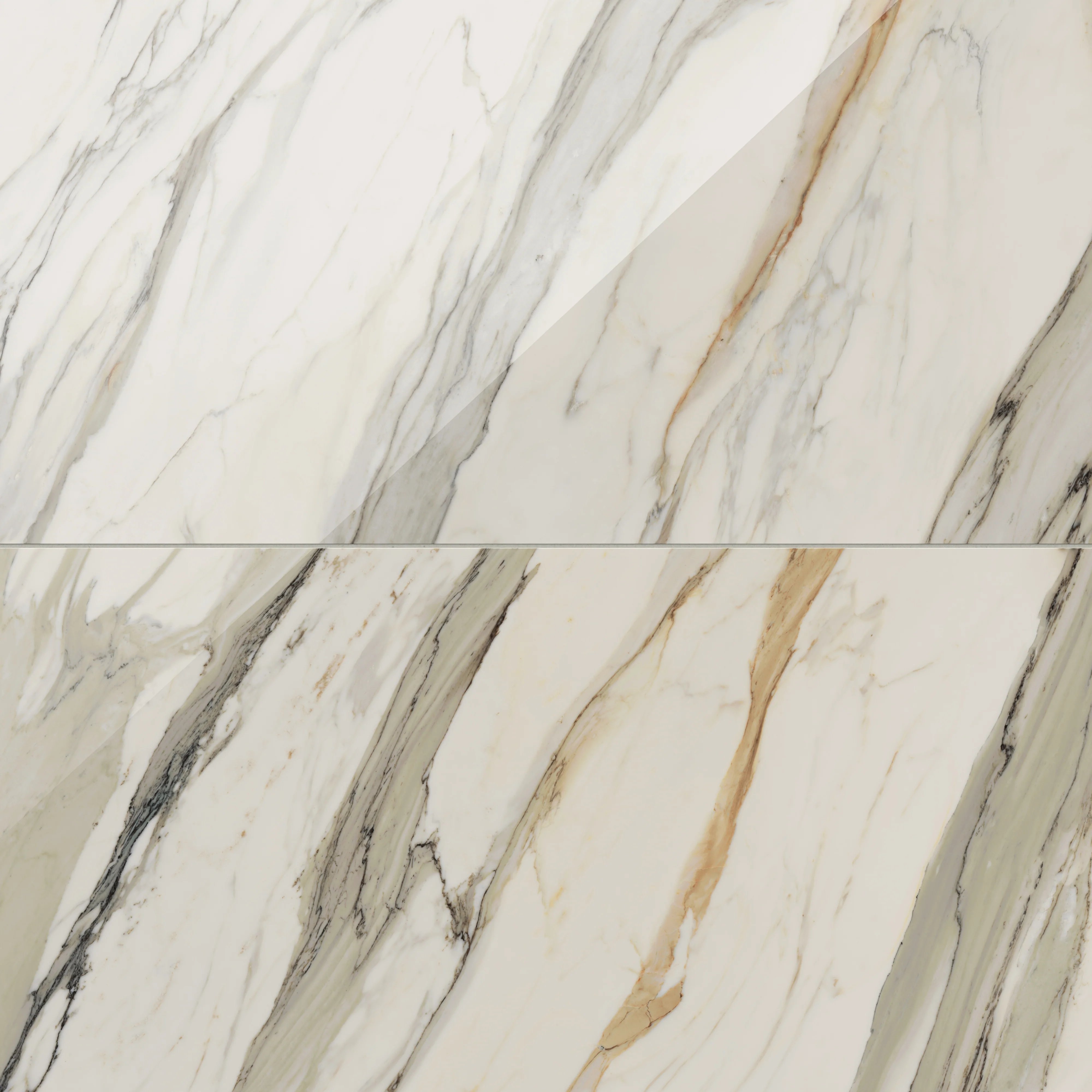 Aniston 24 x 48 Polished Porcelain Tile in Calacatta Cremo