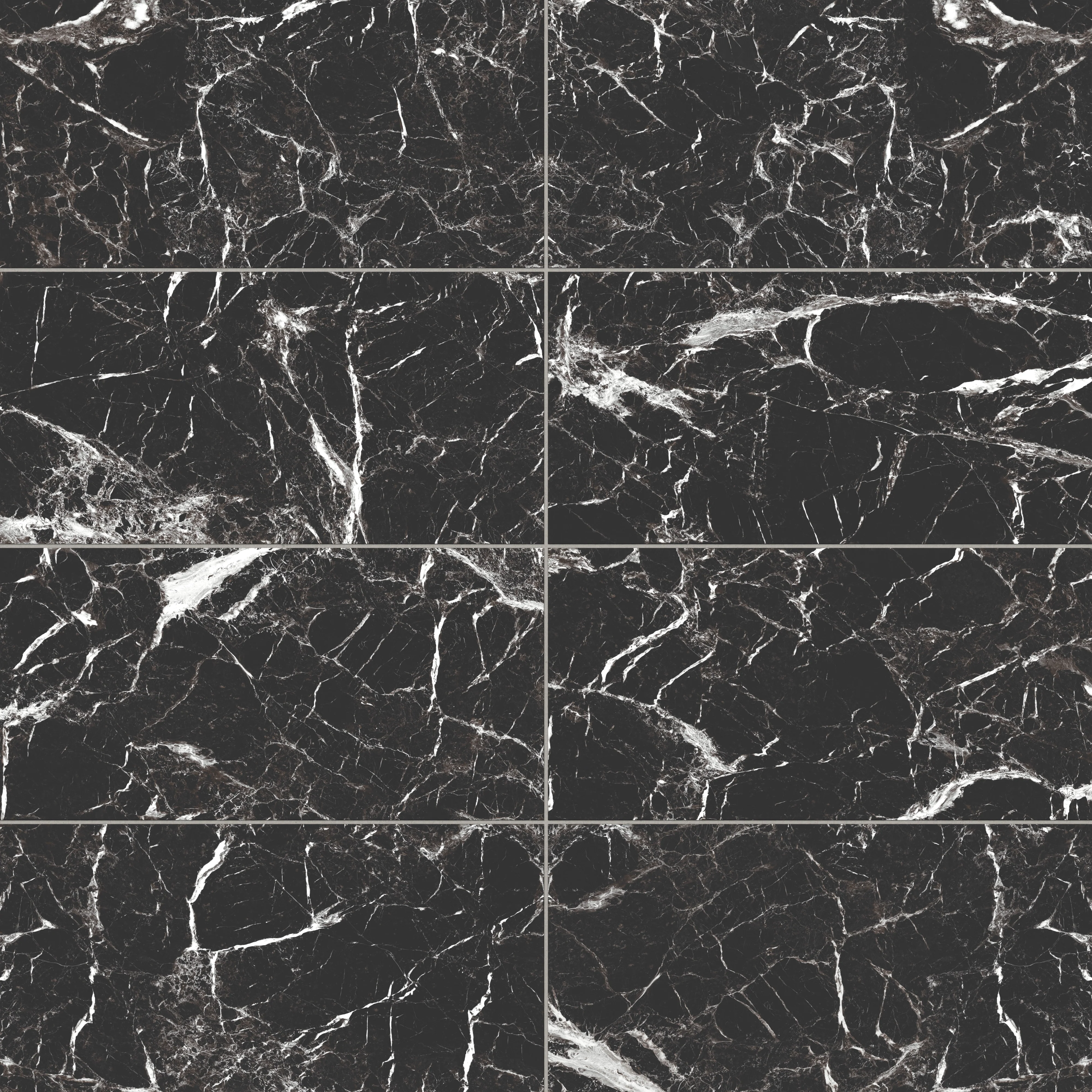 Blair 12 x 24 Matte Porcelain Tile in Marmo Black