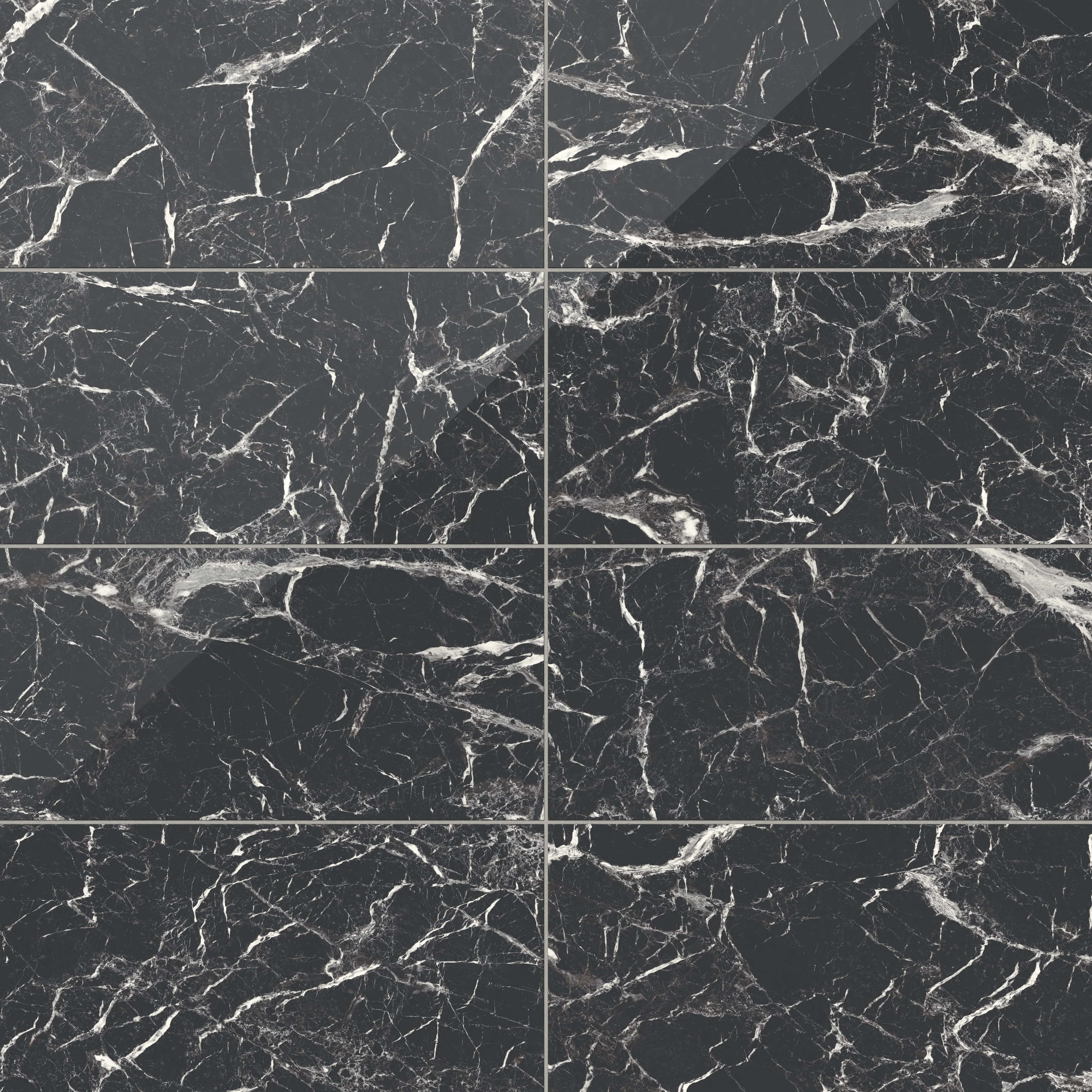 Blair 12 x 24 Polished Porcelain Tile in Marmo Black
