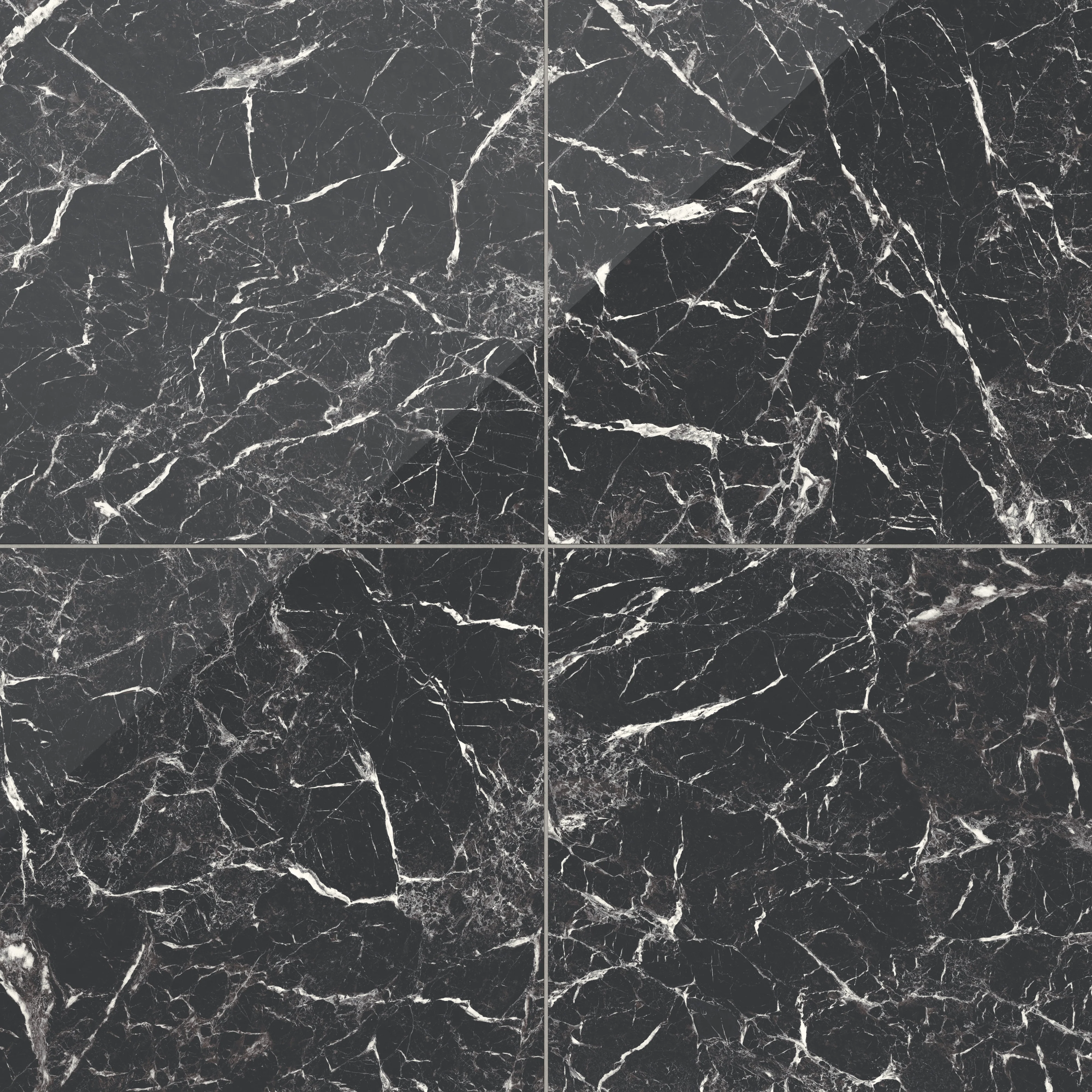 Blair 24 x 24 Polished Porcelain Tile in Marmo Black