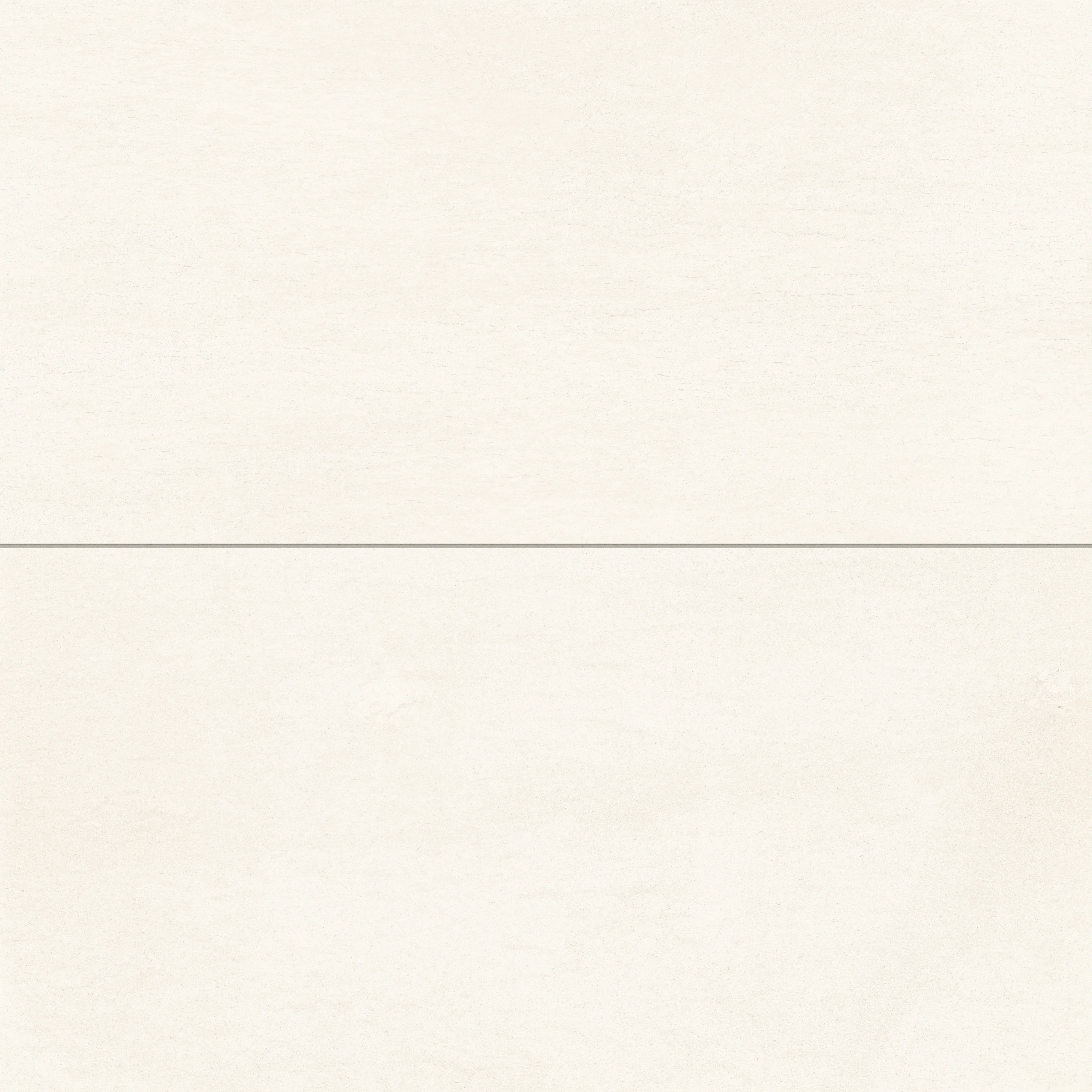 Brody 24 x 48 Matte Porcelain Tile in White