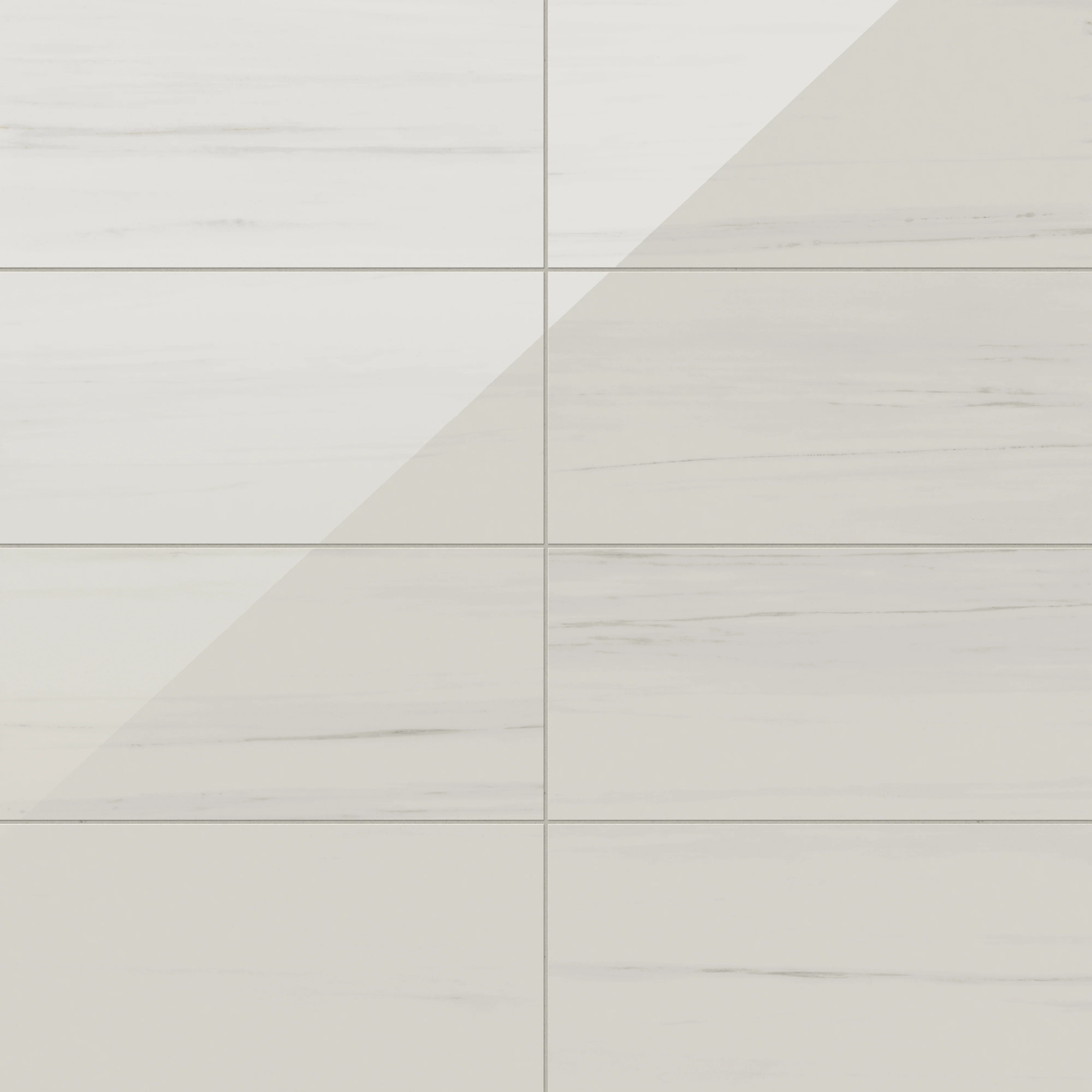 Chantel 12 x 24 Polished Porcelain Tile in Dolomite