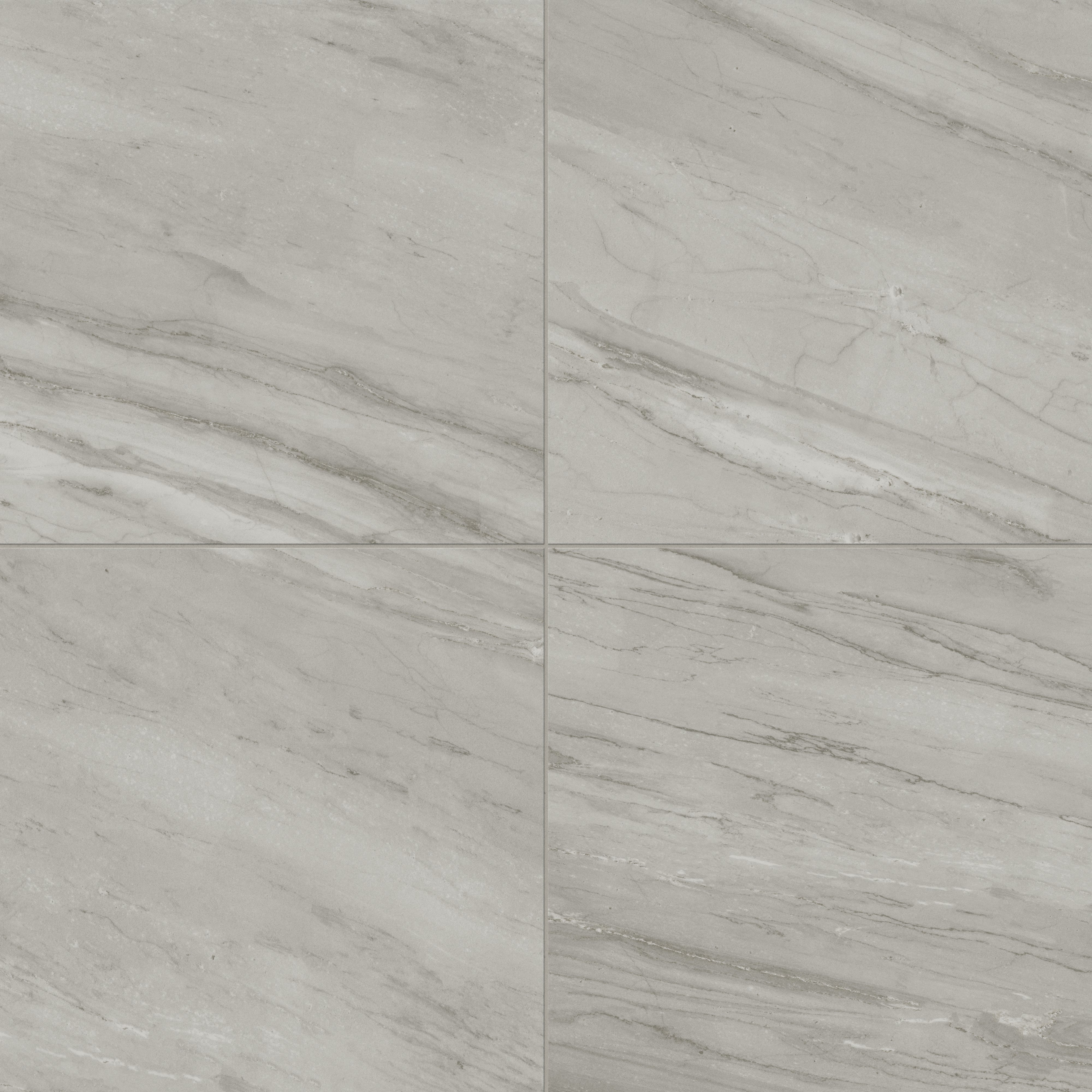 Chantel 24 x 24 Matte Porcelain Tile in Alaska Grey
