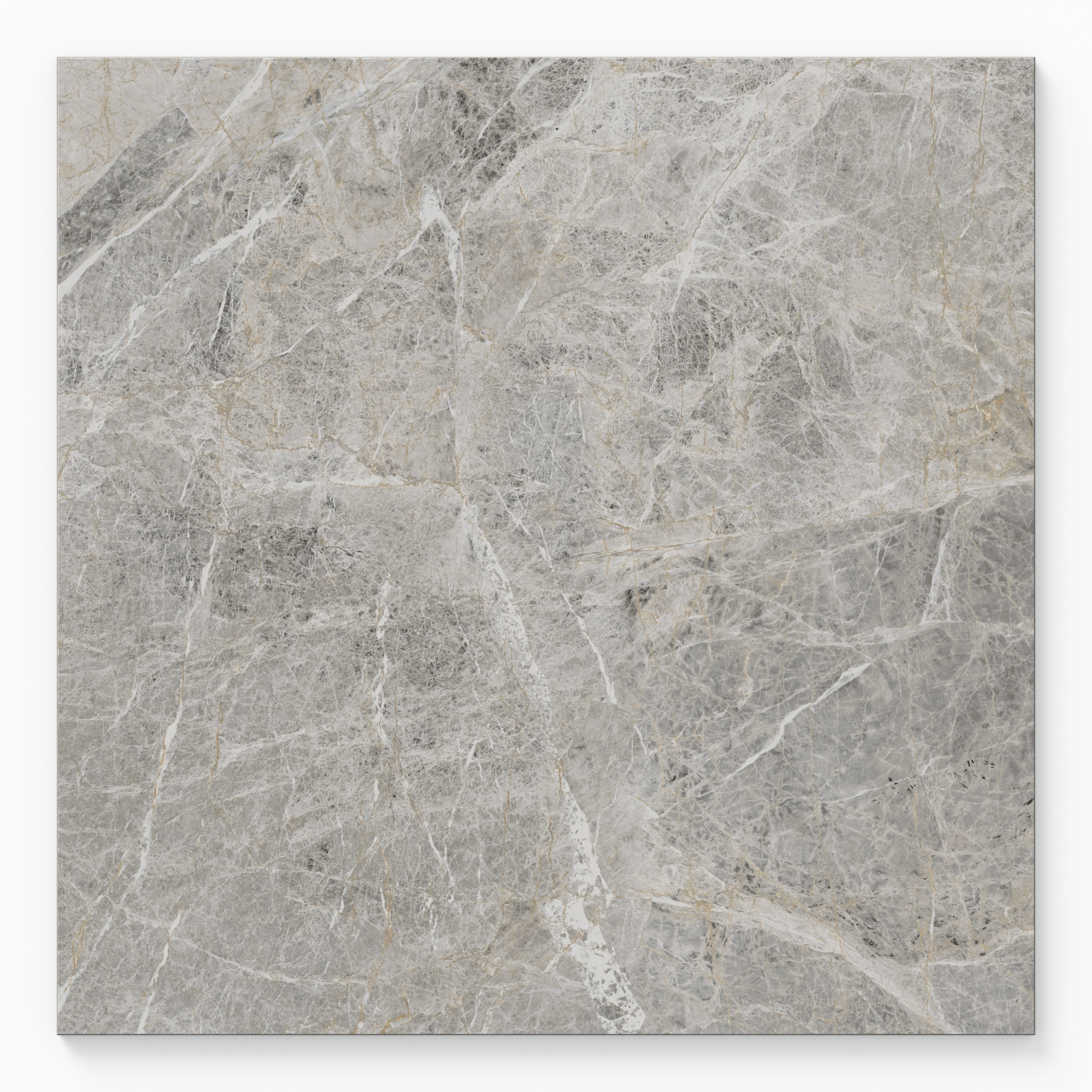 Chantel 24 x 24 Matte Porcelain Tile in Imperial - Image 2