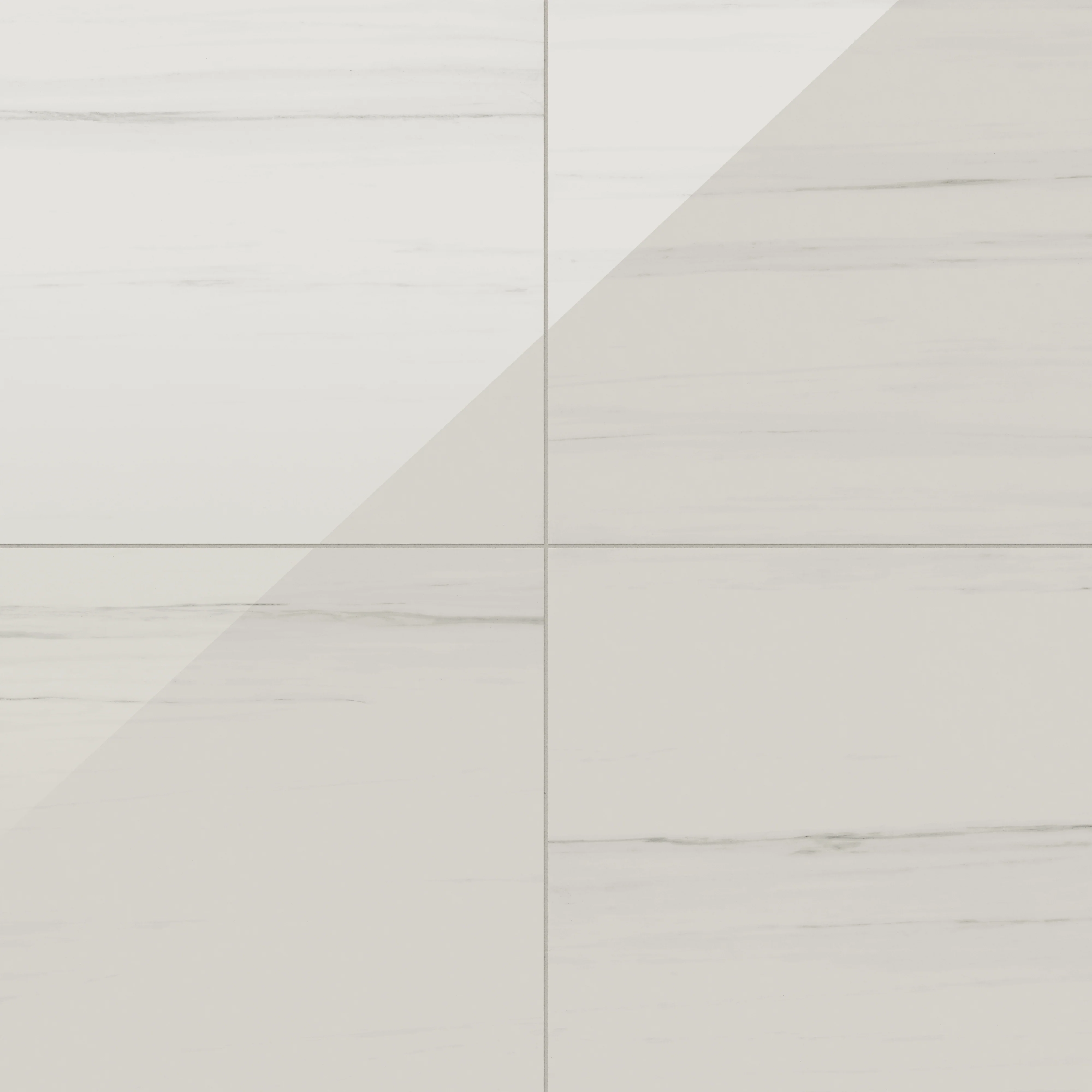 Chantel 24 x 24 Polished Porcelain Tile in Dolomite