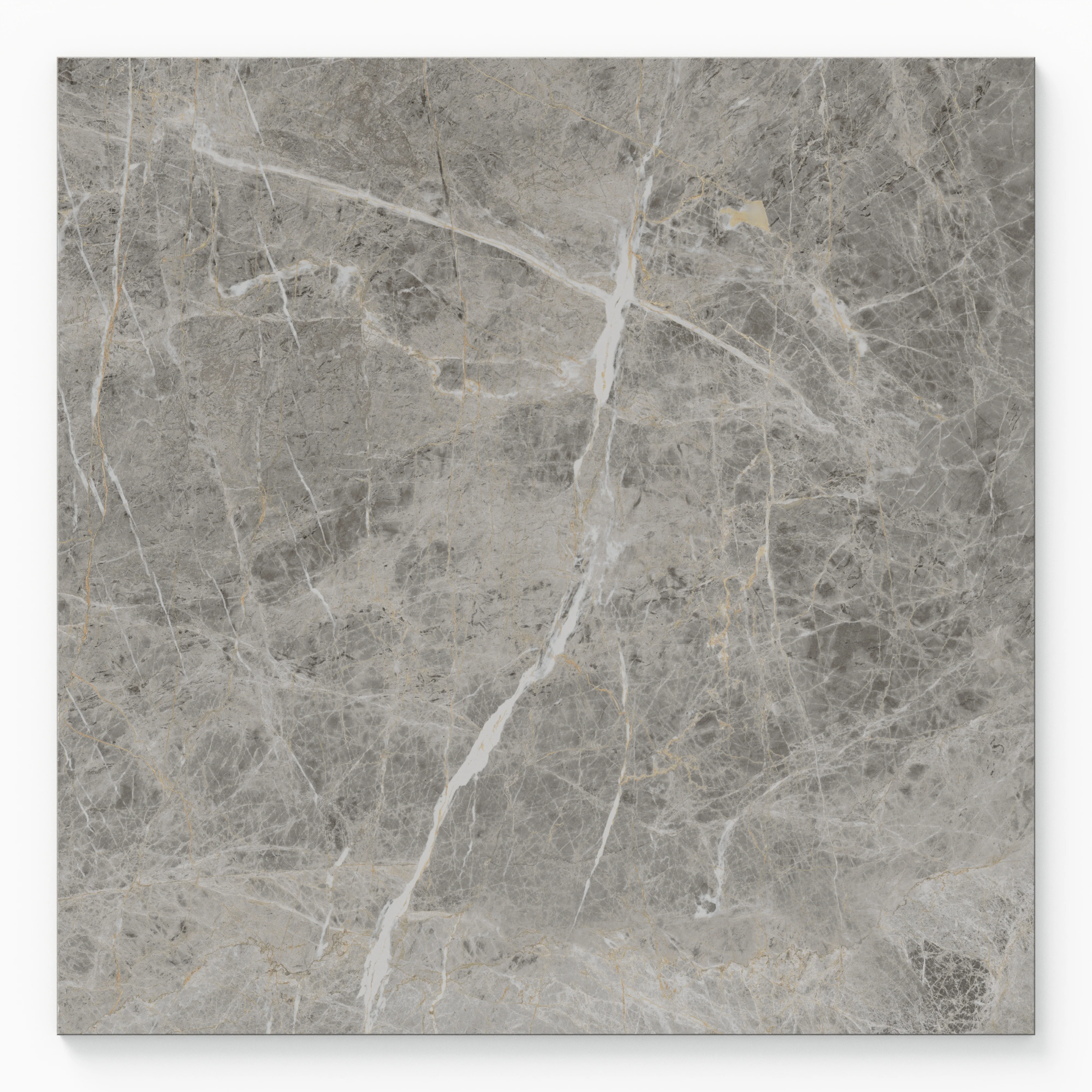 Chantel 24 x 24 Polished Porcelain Tile in Imperial - Image 3