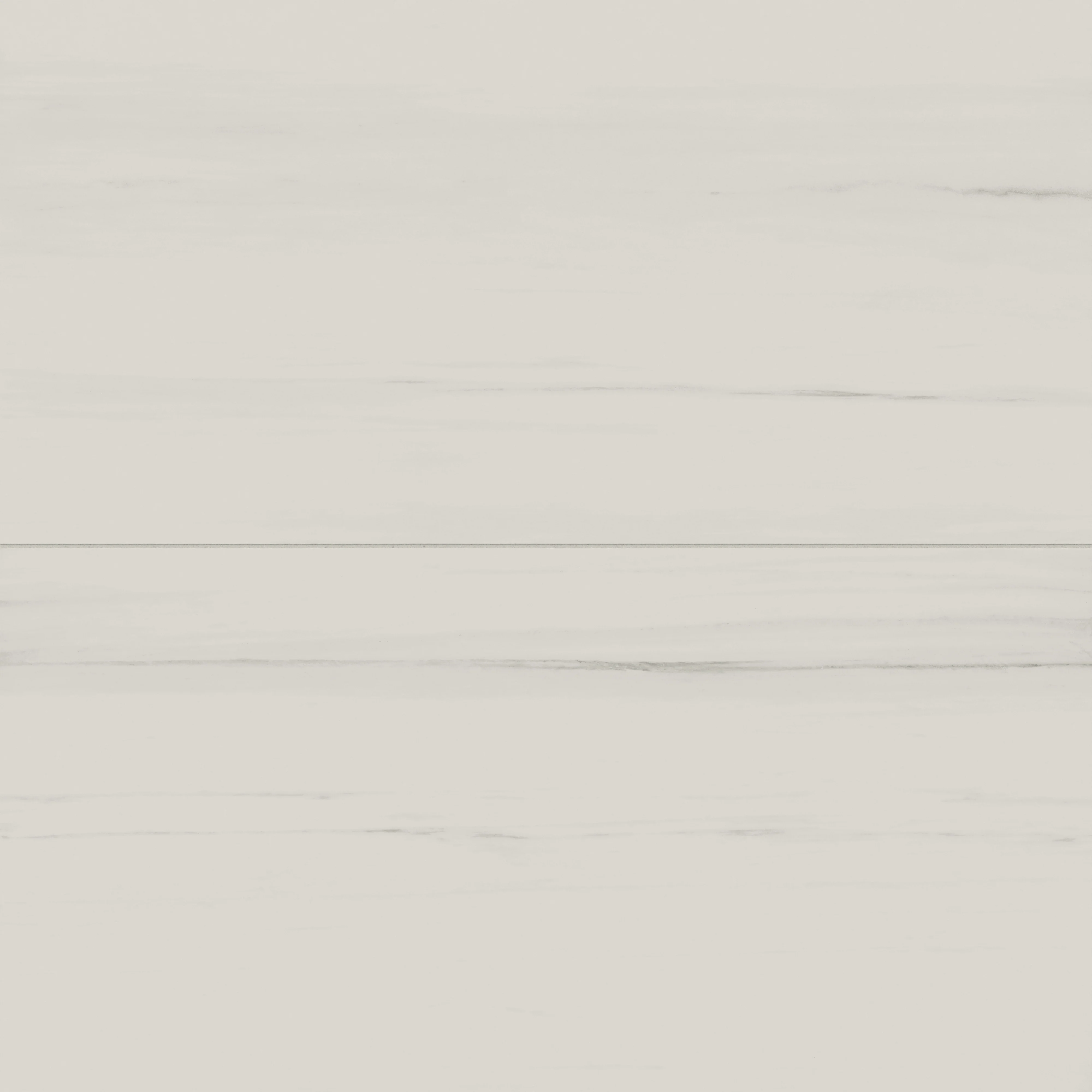 Chantel 24 x 48 Matte Porcelain Tile in Dolomite