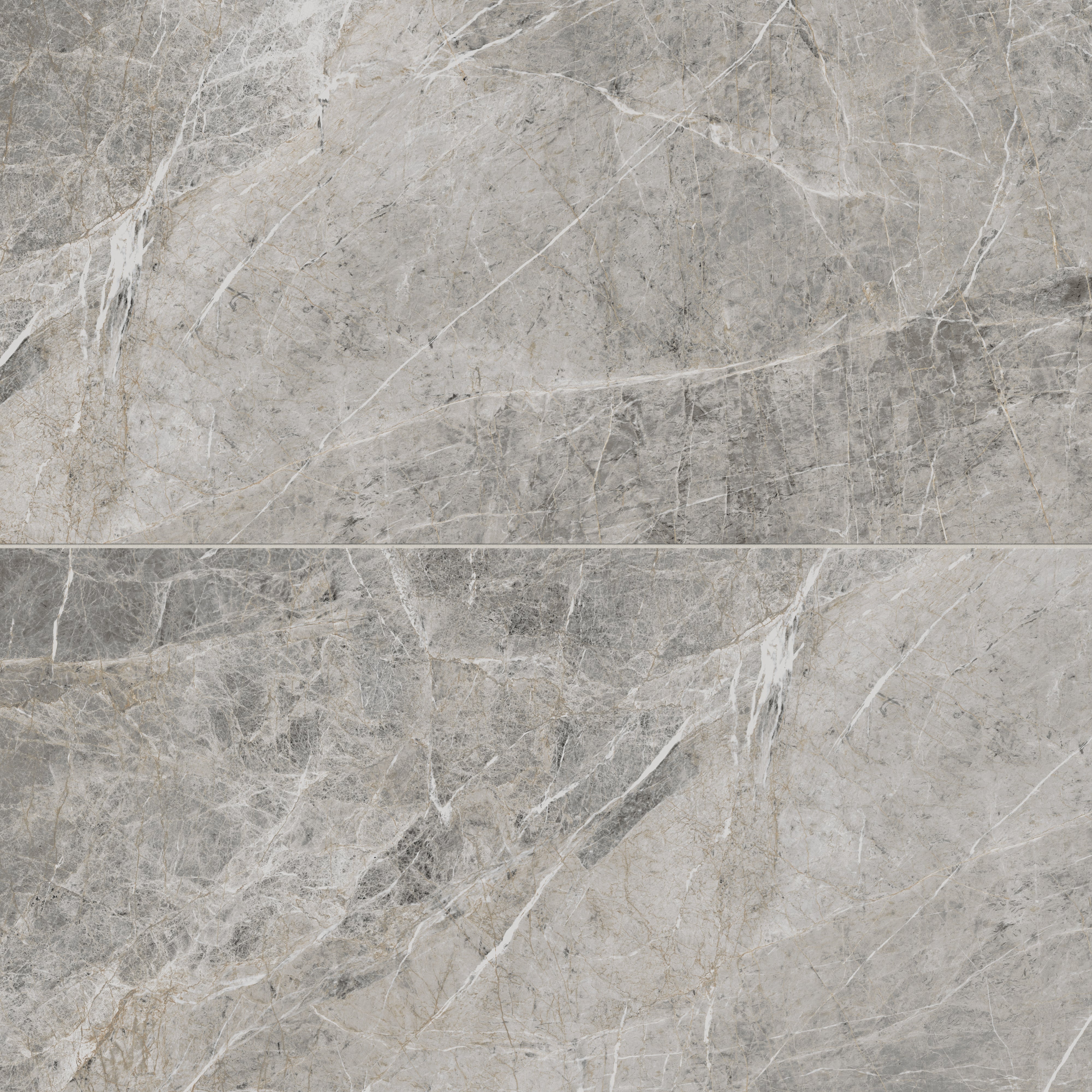 Chantel 24 x 48 Matte Porcelain Tile in Imperial