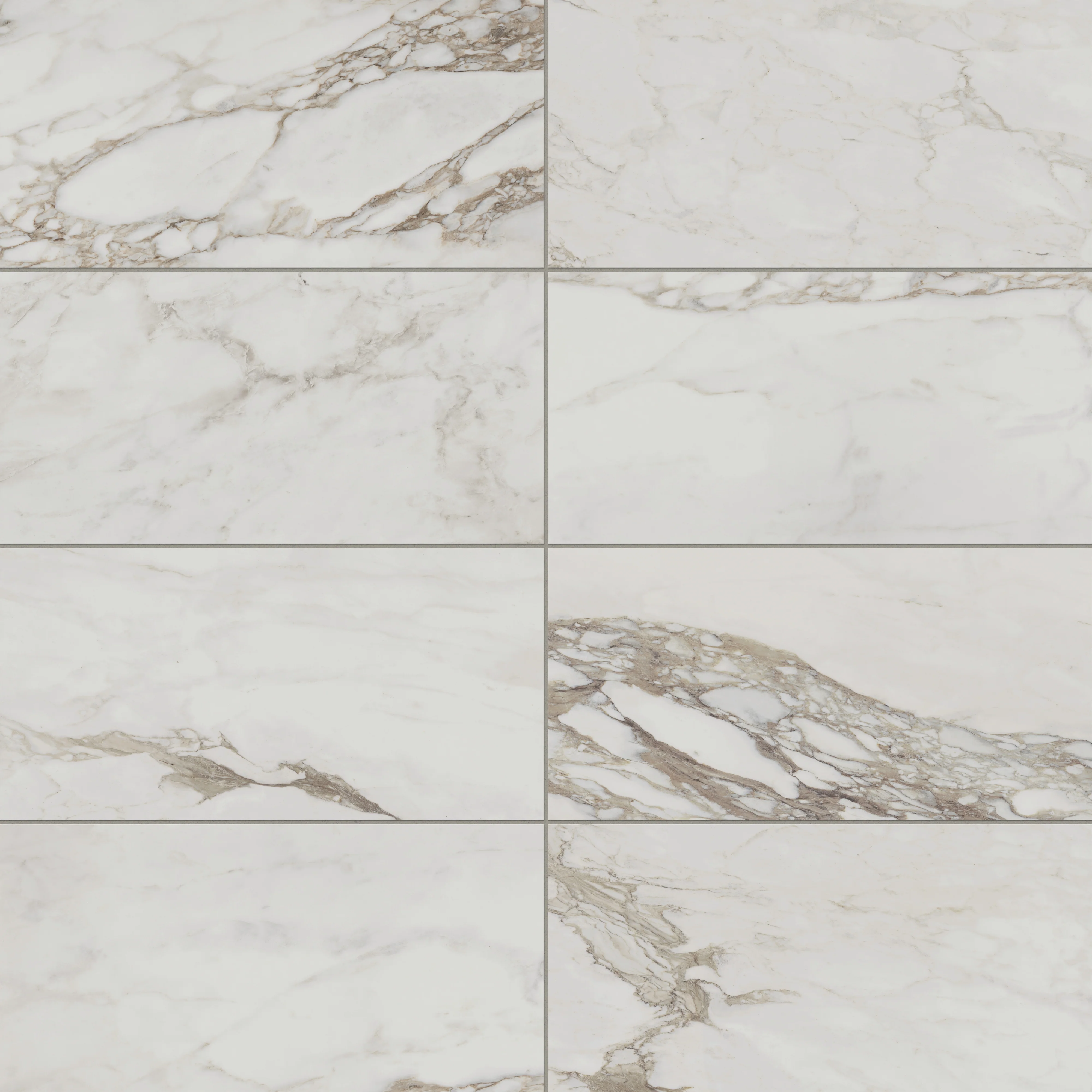 Giada 12 x 24 Matte Porcelain Tile in Renoir