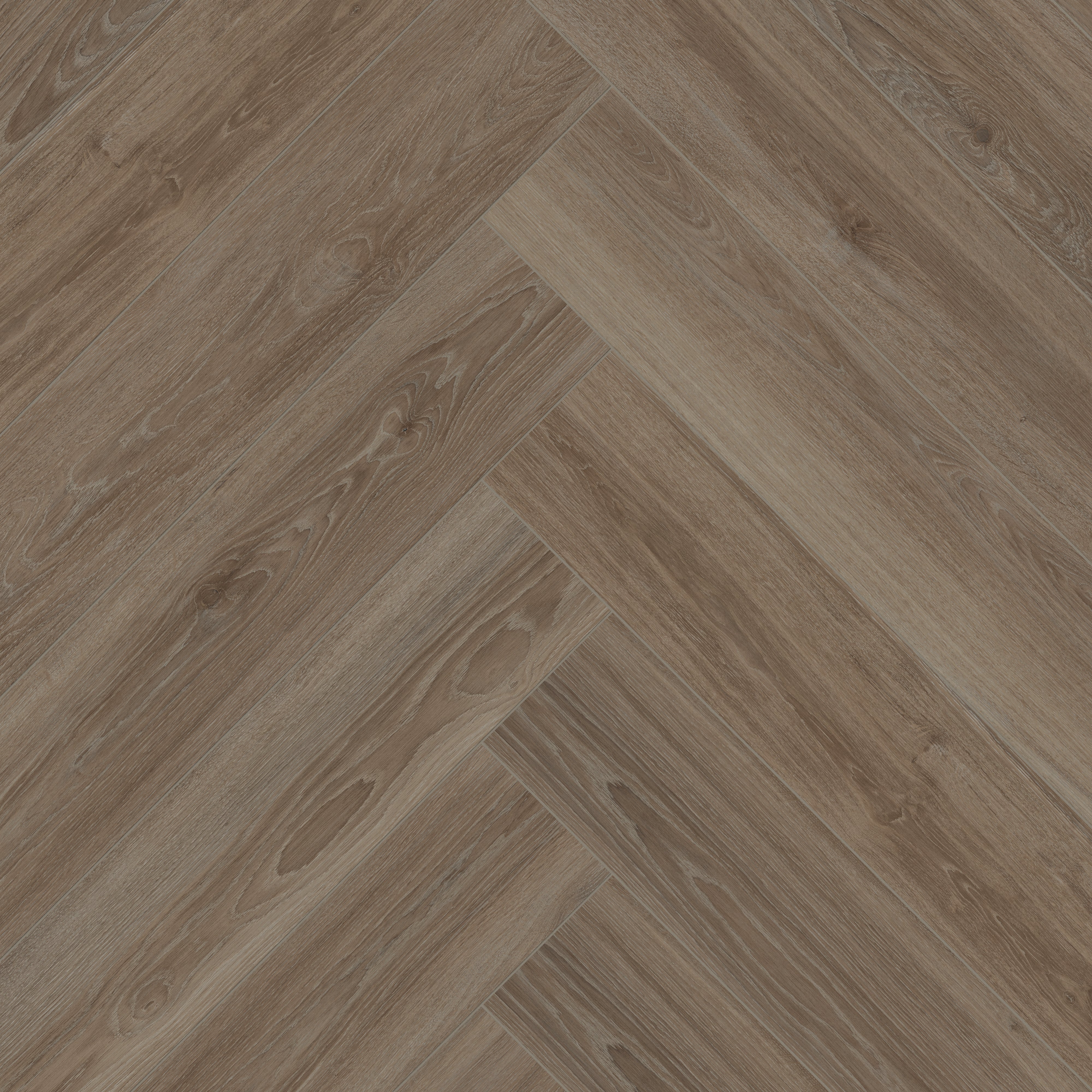 Jameson 8 x 48 Matte Porcelain Tile in Umber - Image 11