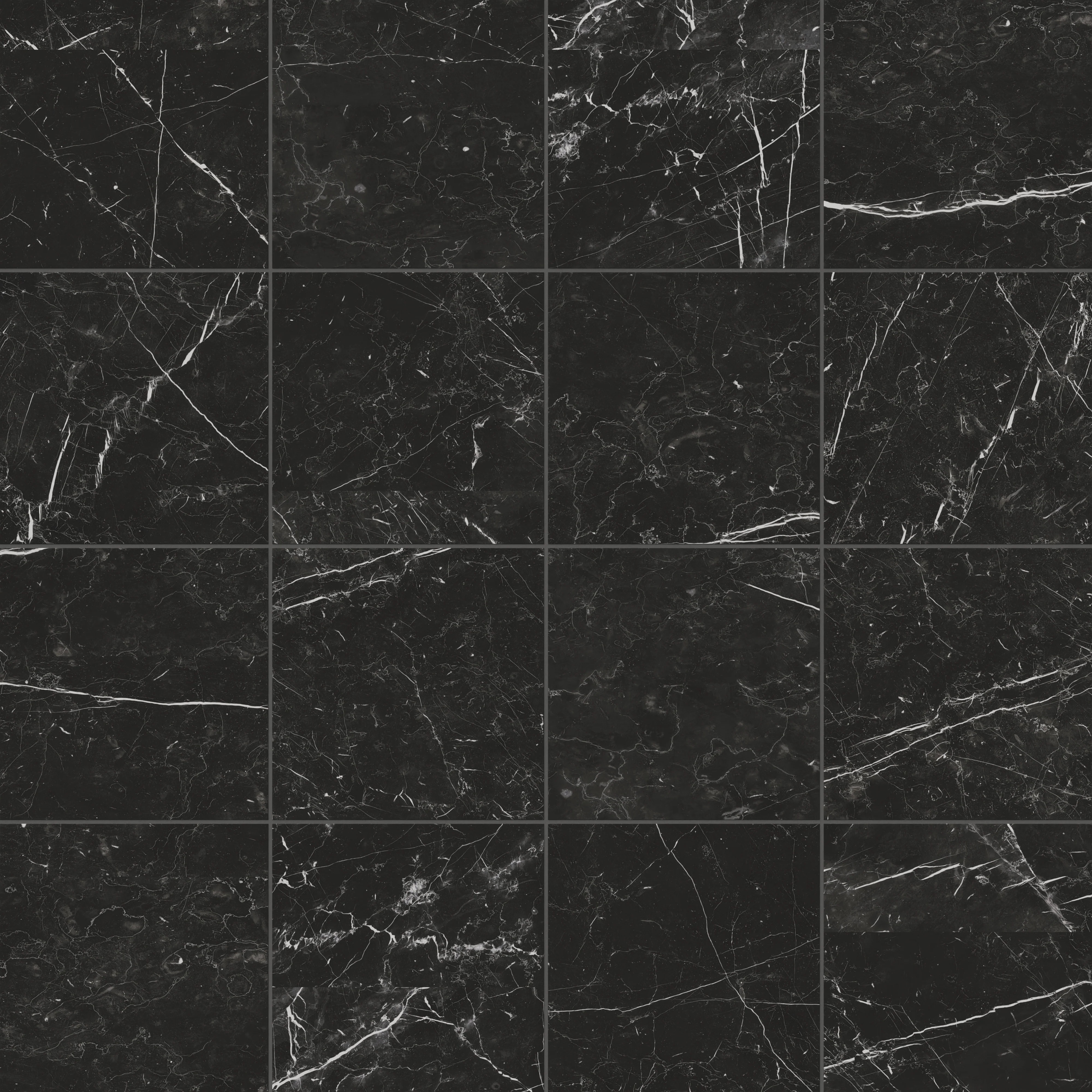 Leona 12 x 12 Matte Porcelain Tile in Nero Marquina