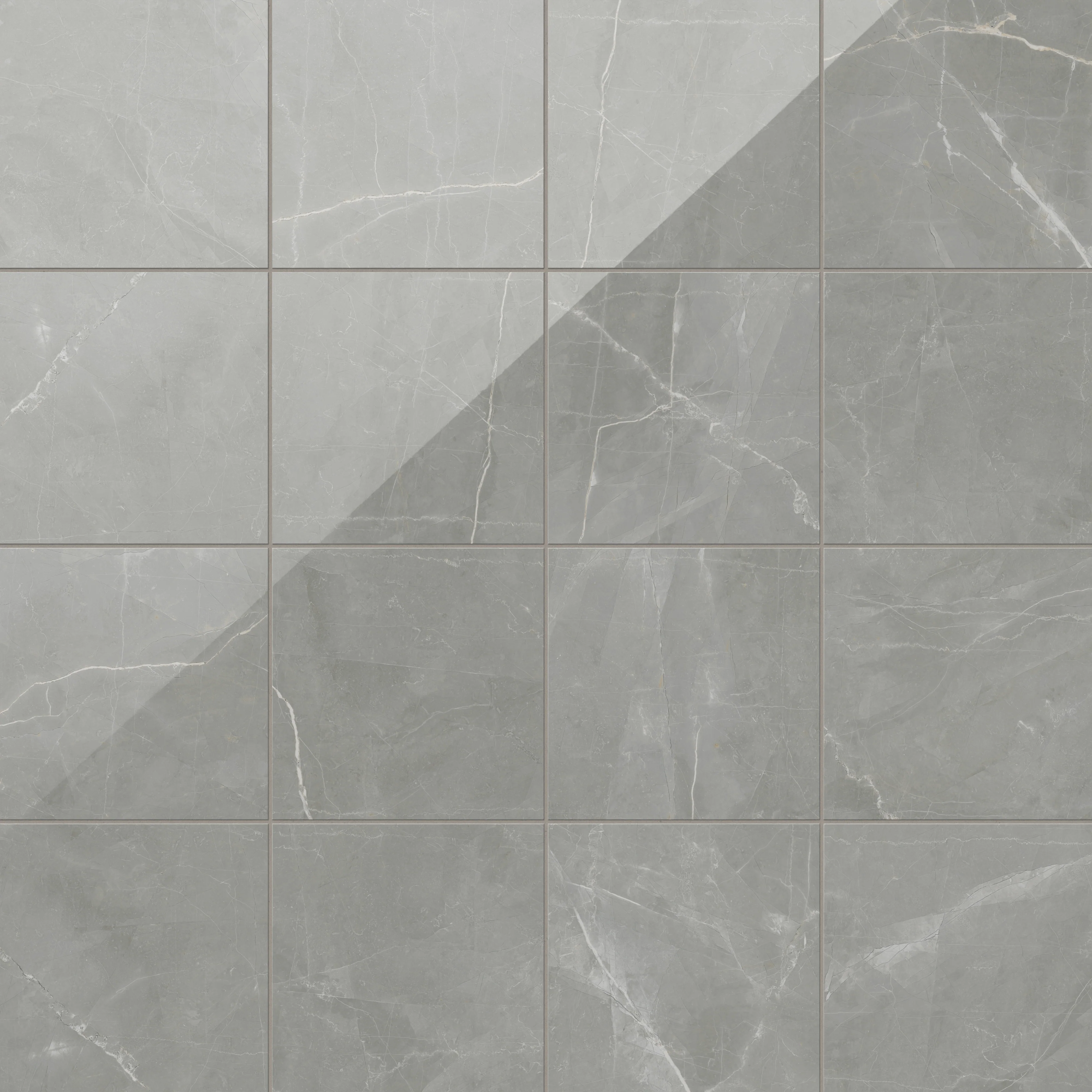 Leona 12 x 12 Polished Porcelain Tile in Amani Grey