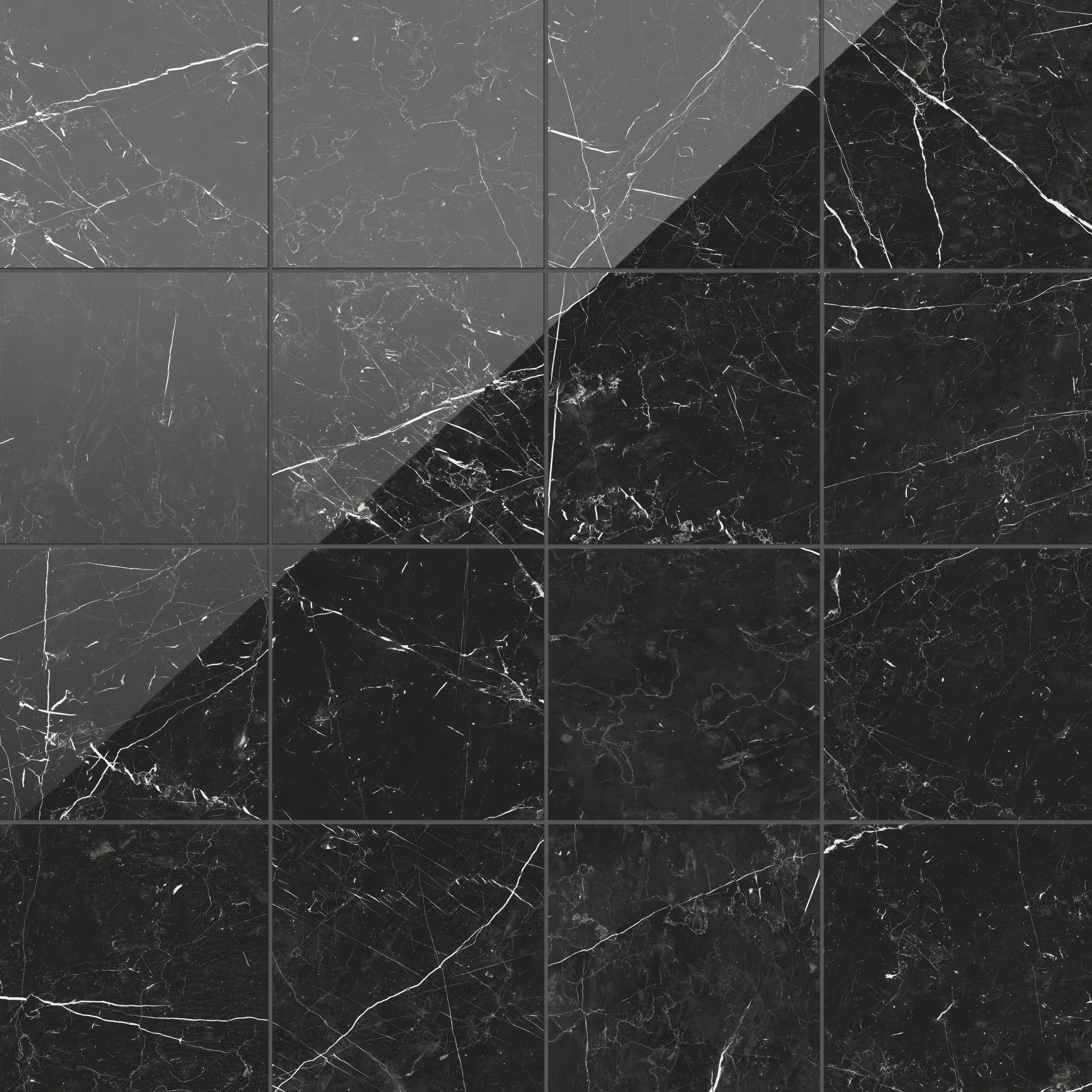 Leona 12 x 12 Polished Porcelain Tile in Nero Marquina