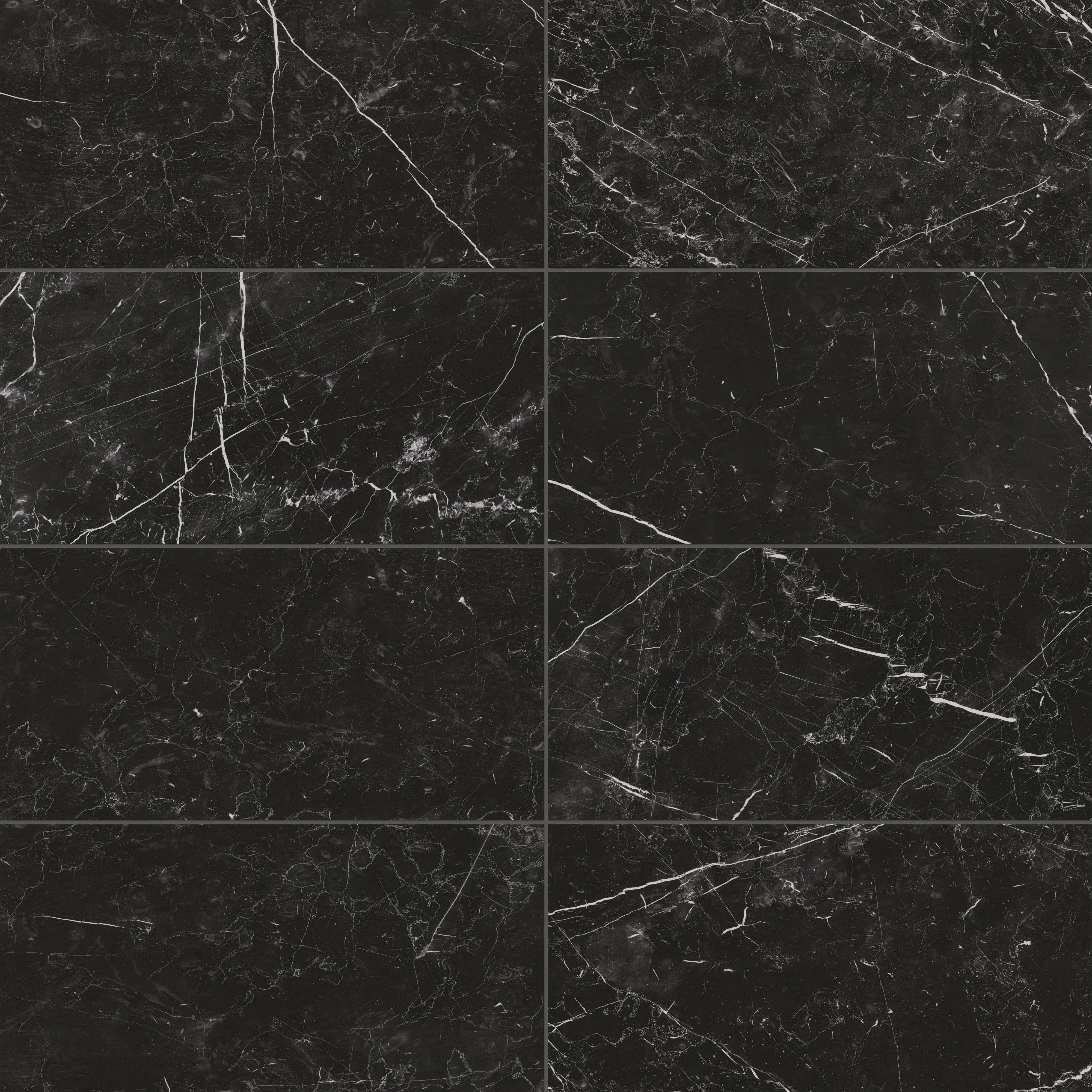 Leona 12 x 24 Matte Porcelain Tile in Nero Marquina
