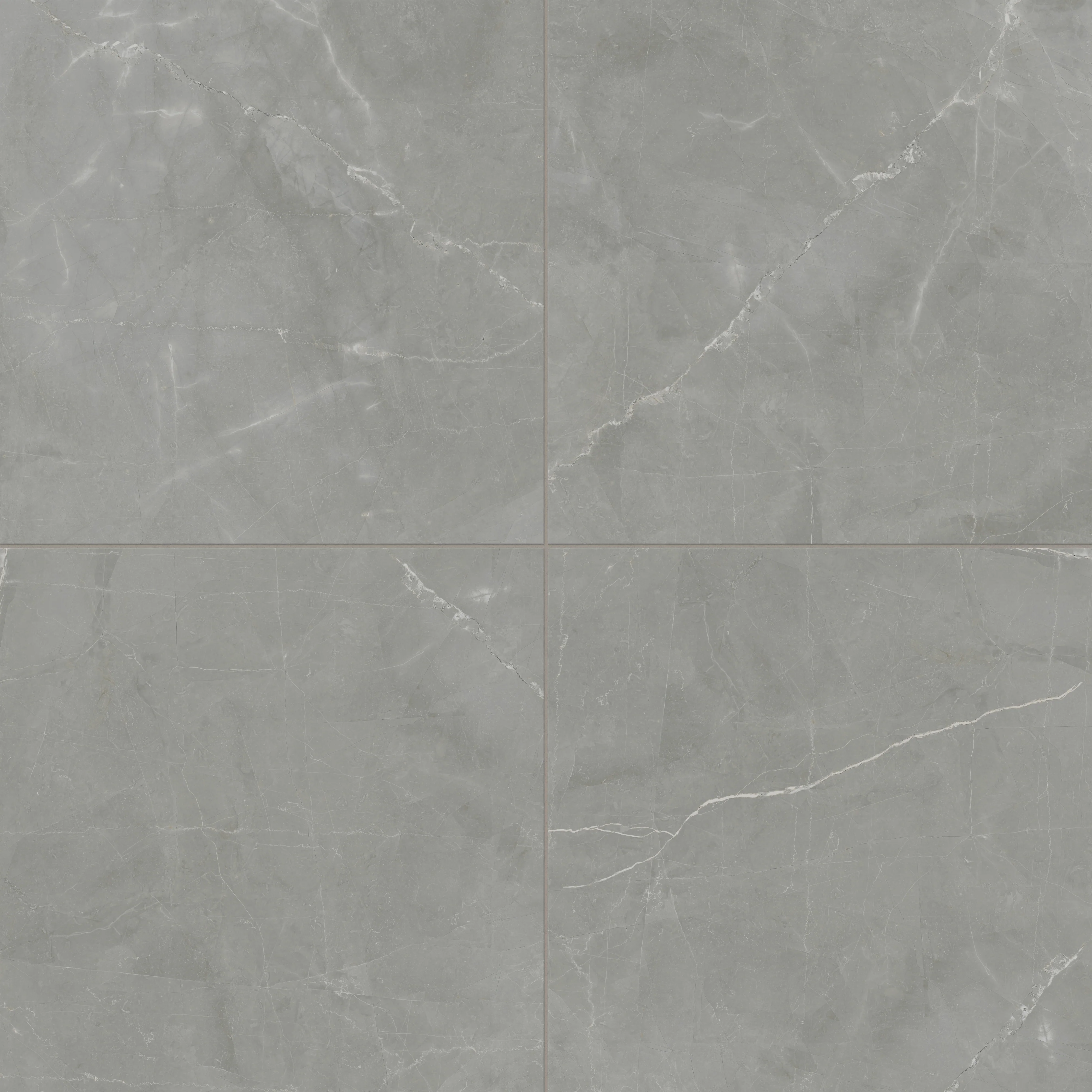 Leona 24 x 24 Matte Porcelain Tile in Amani Grey