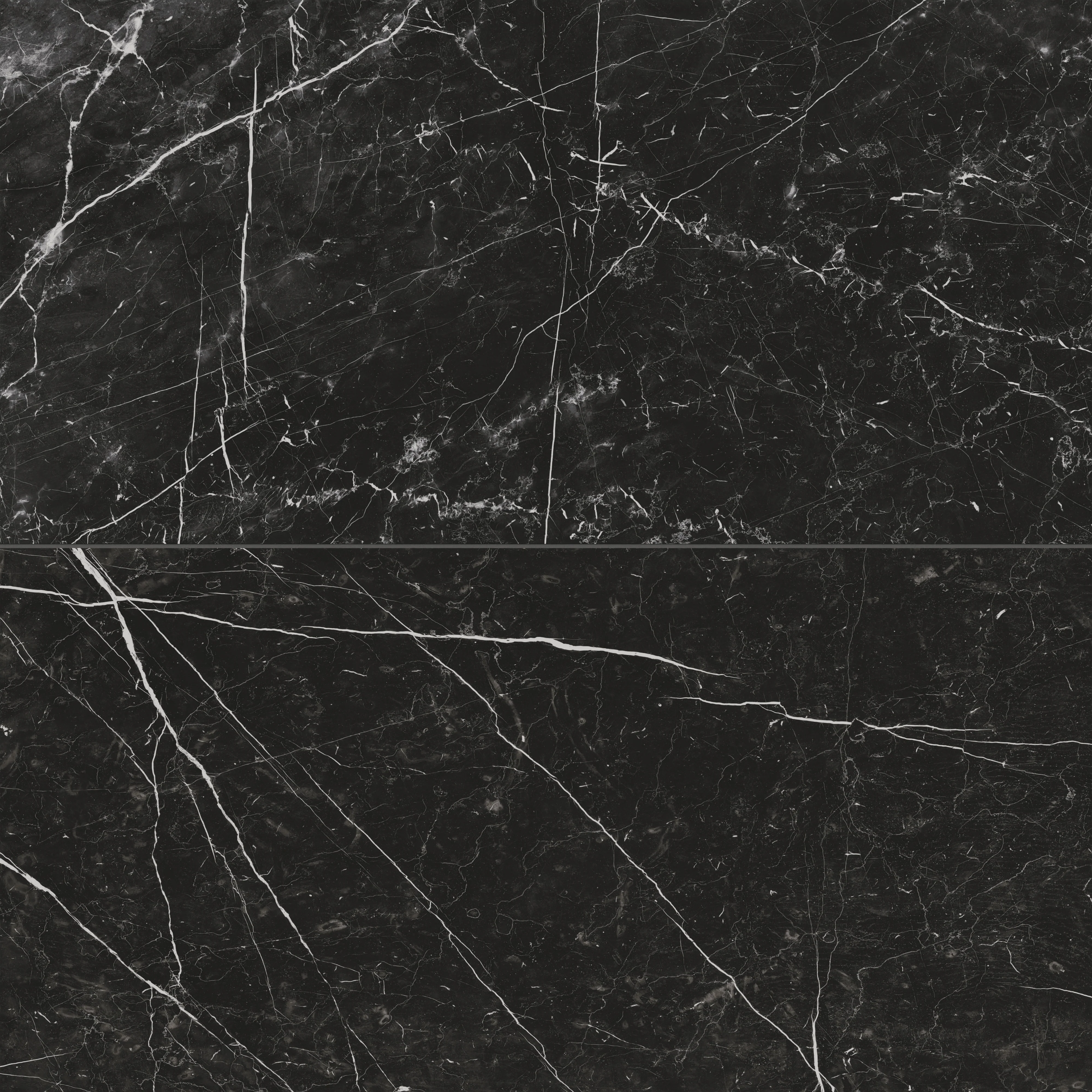 Leona 24 x 48 Matte Porcelain Tile in Nero Marquina