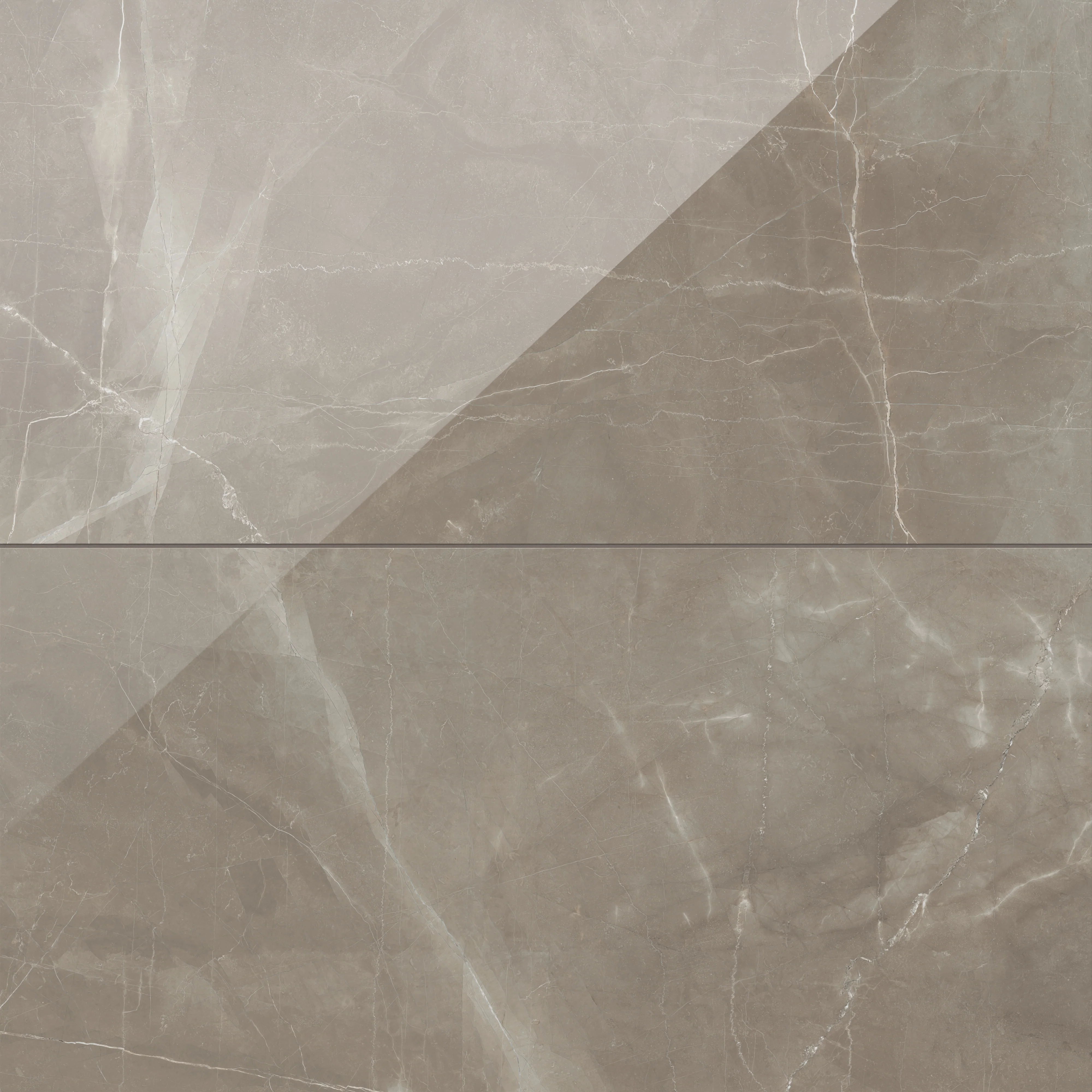 Leona 24 x 48 Polished Porcelain Tile in Amani Bronze