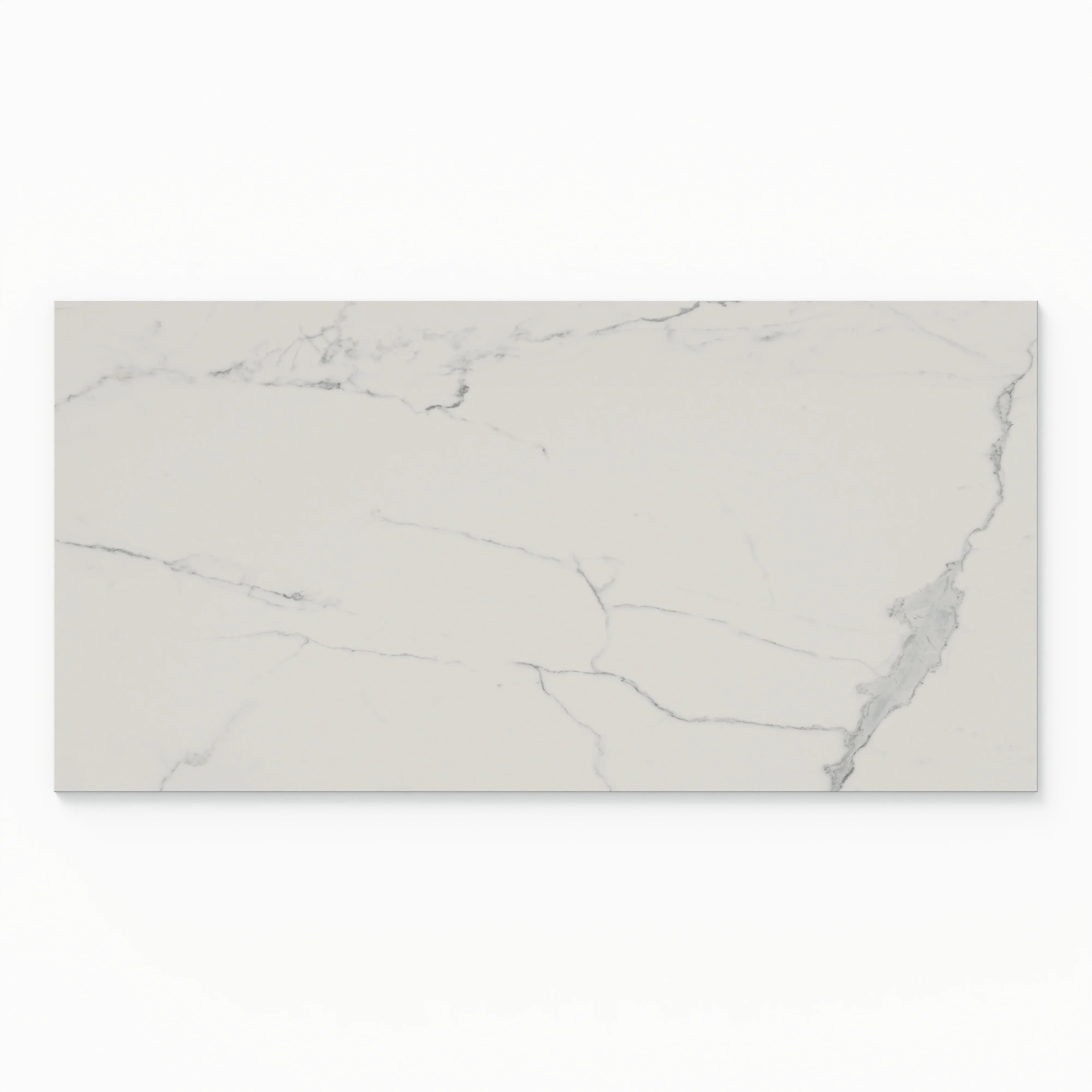 Leona 24 x 48 Polished Porcelain Tile in Calacatta - Image 3