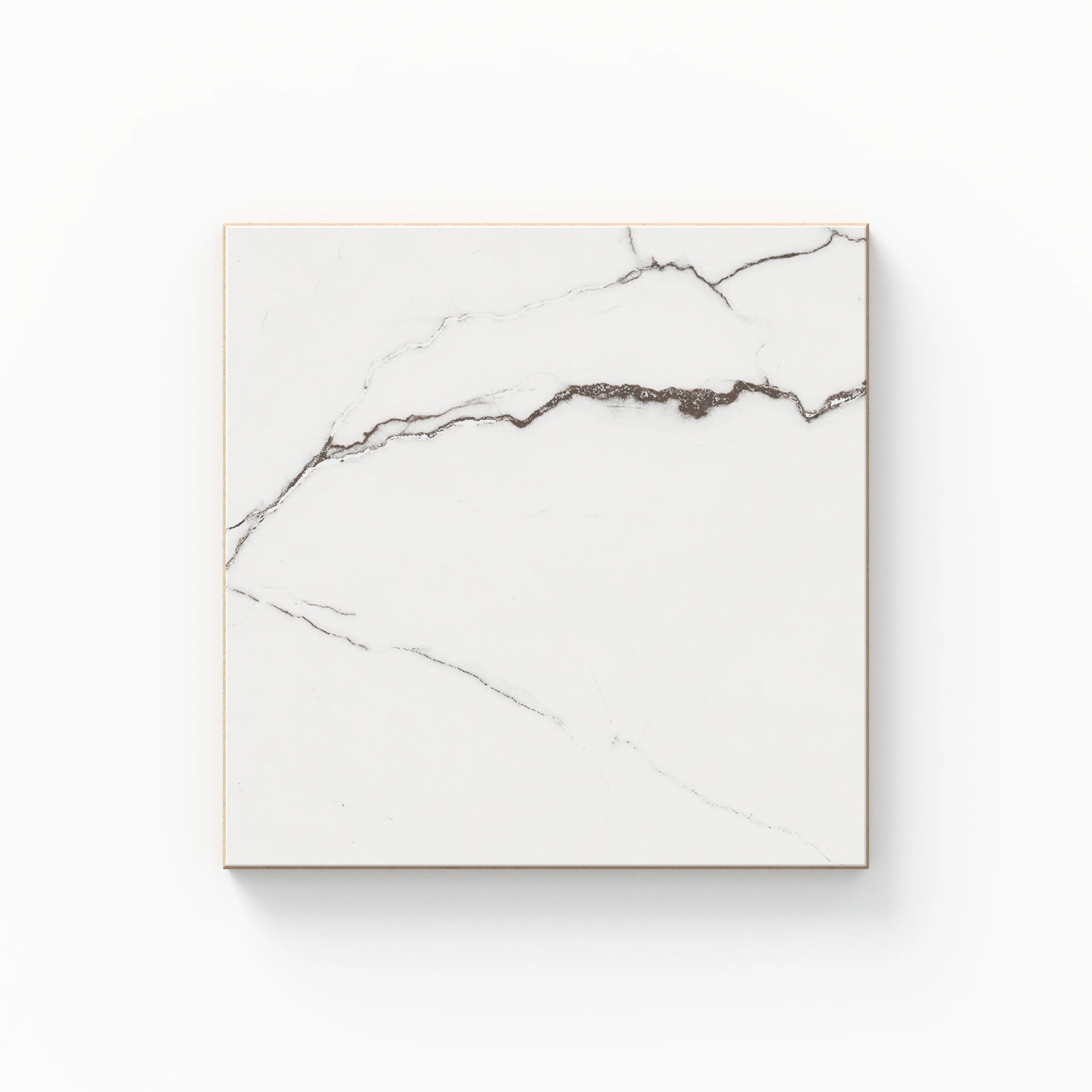 Natalia 6 x 6 Matte Calacatta Lincoln Sample