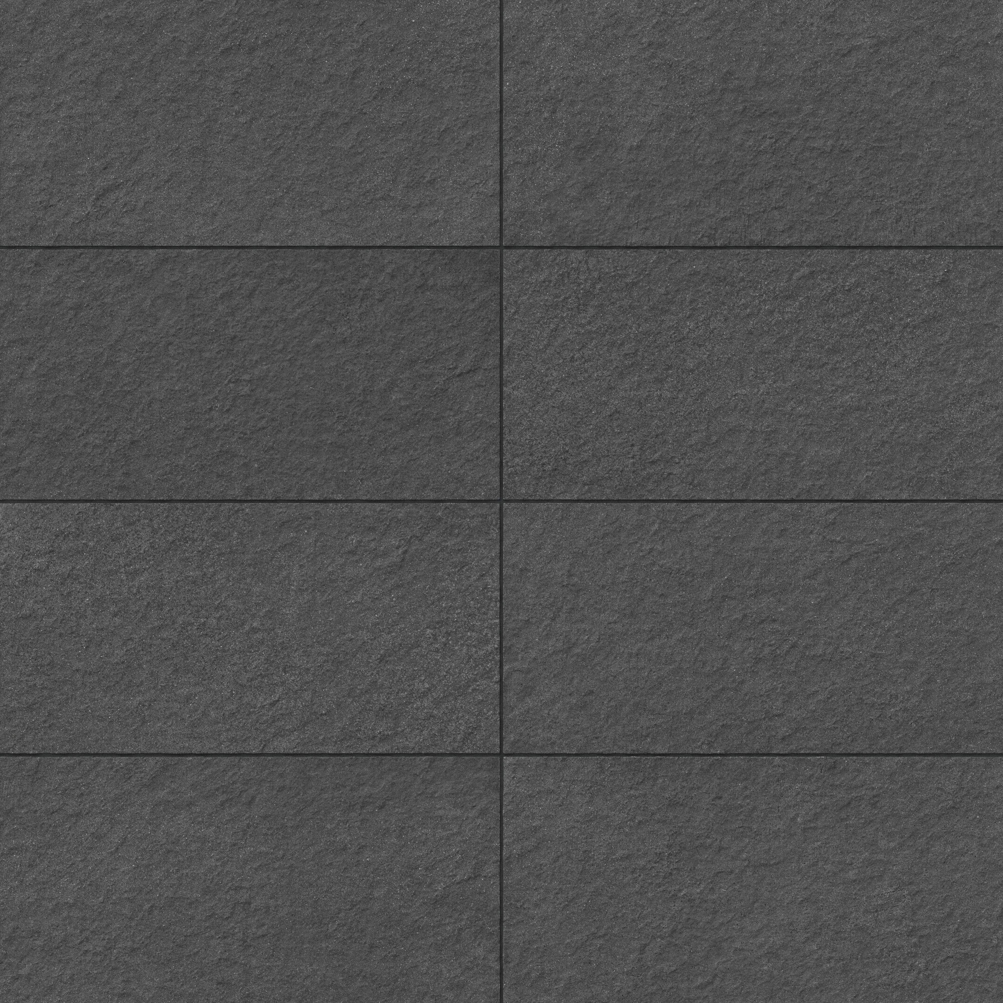 Palmer 12 x 24 Raw Porcelain Tile in Nero