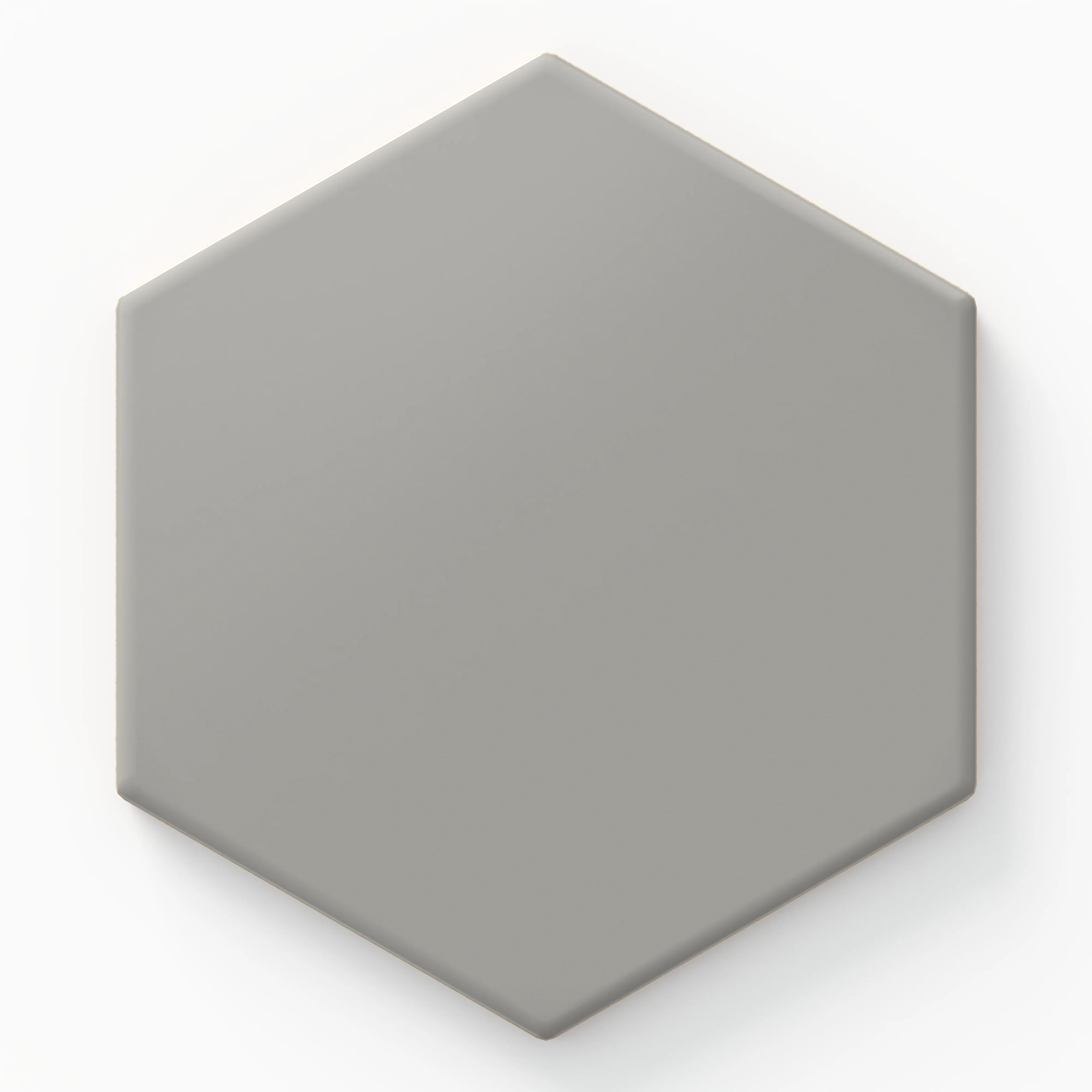 Reagan 5 x 6 Matte Hexagon in Acero Sample
