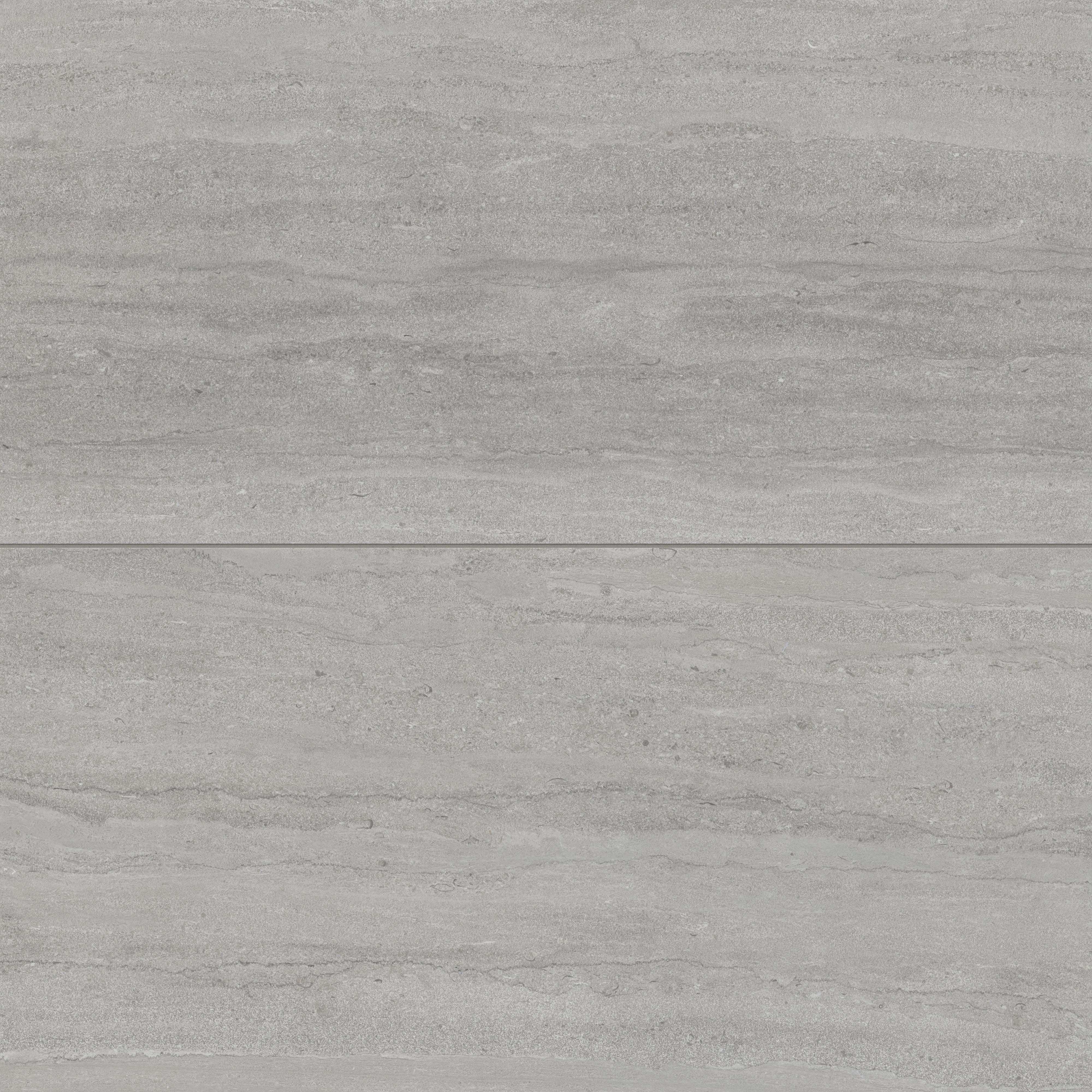 Tatum 24 x 48 Matte Porcelain Tile in Vein-Cut Ash
