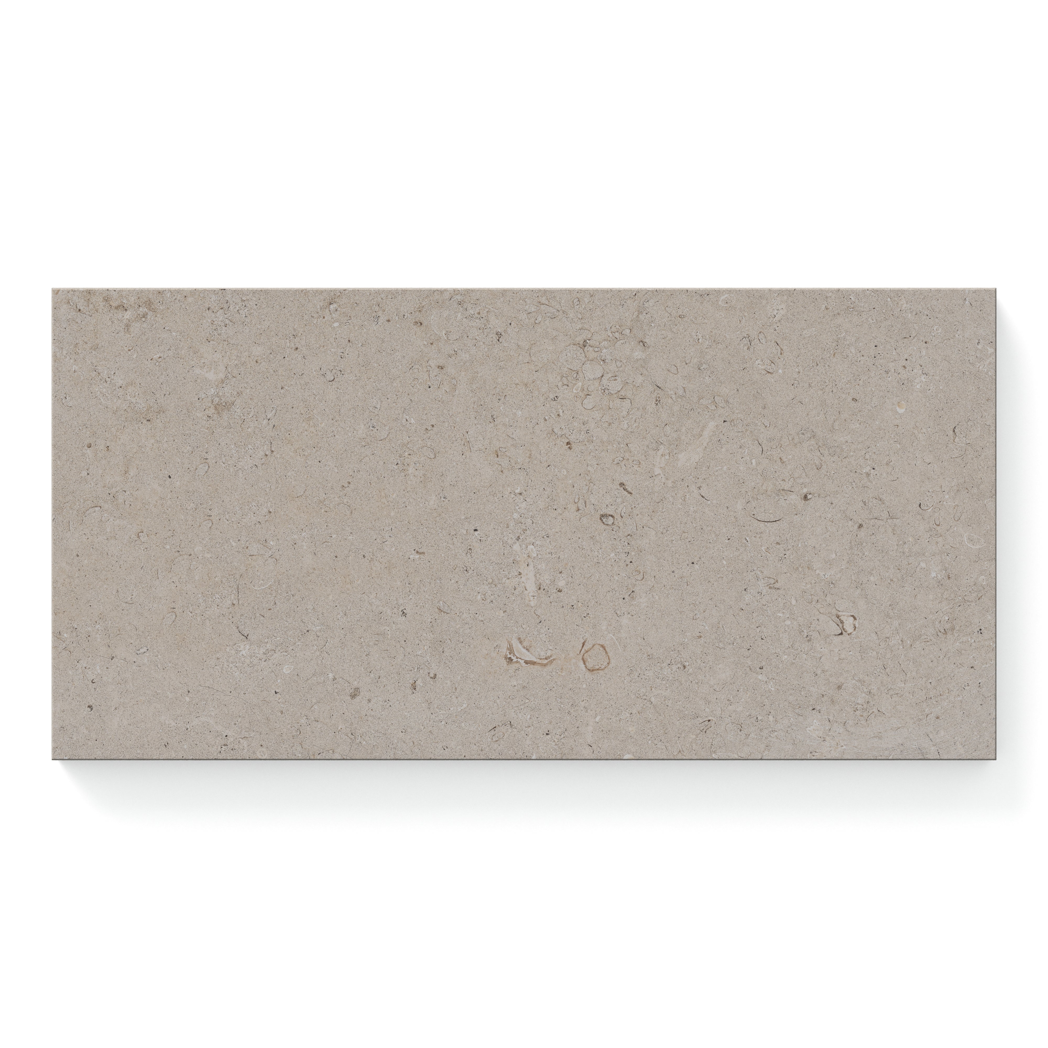 Wren 12 x 24 Matte Porcelain Tile in Dune - Image 3