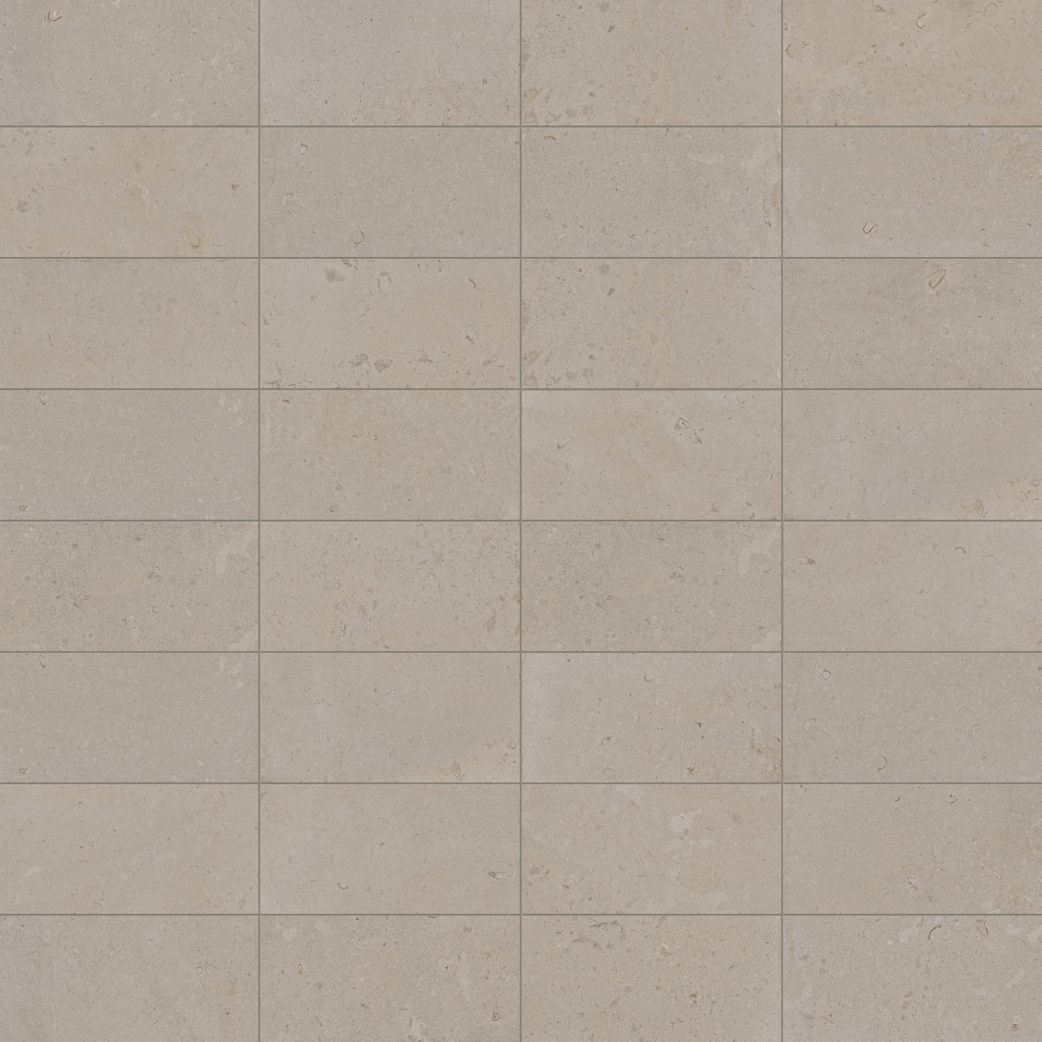 Wren 12 x 24 Matte Porcelain Tile in Dune - Image 9