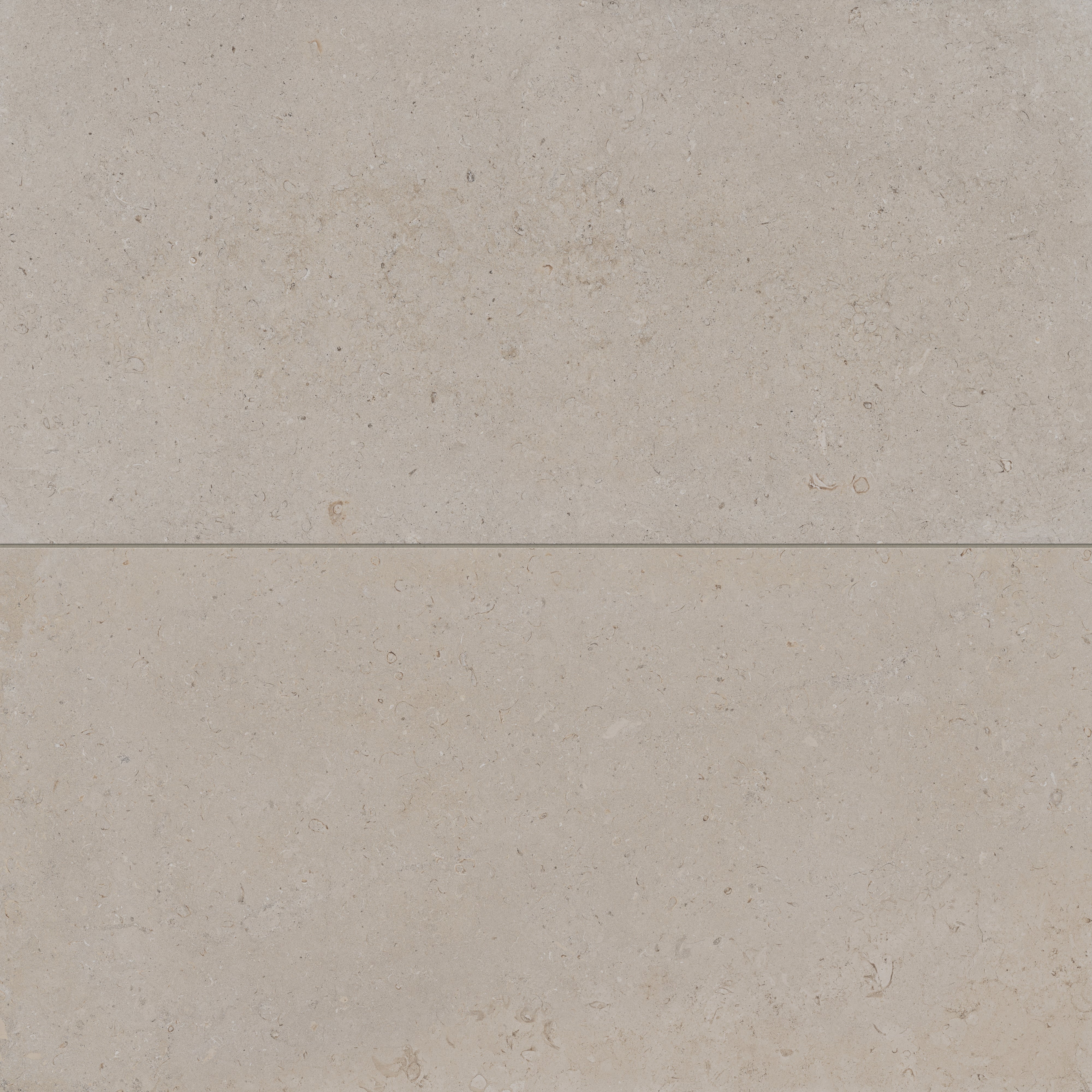 Wren 24 x 48 Matte Porcelain Tile in Dune